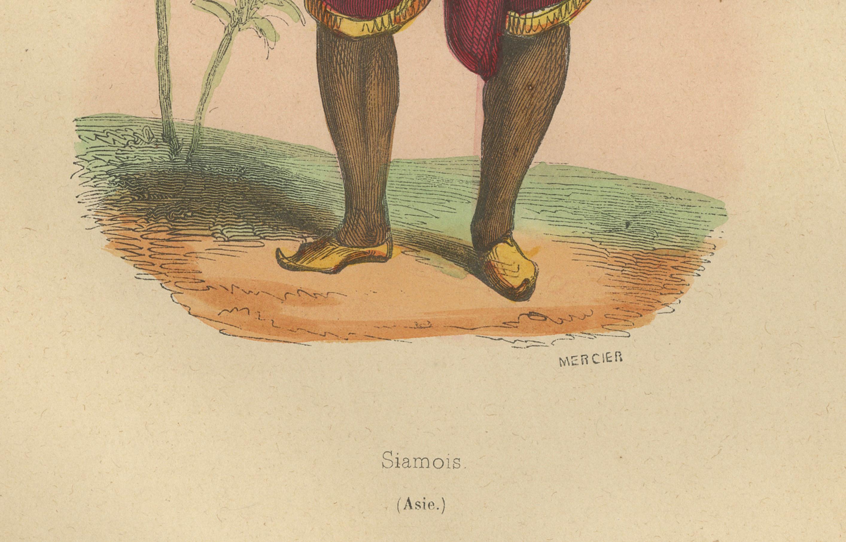 Traditional Siamese Attire: A 19th Century Ethnographic Portrait from Thailand In Good Condition For Sale In Langweer, NL