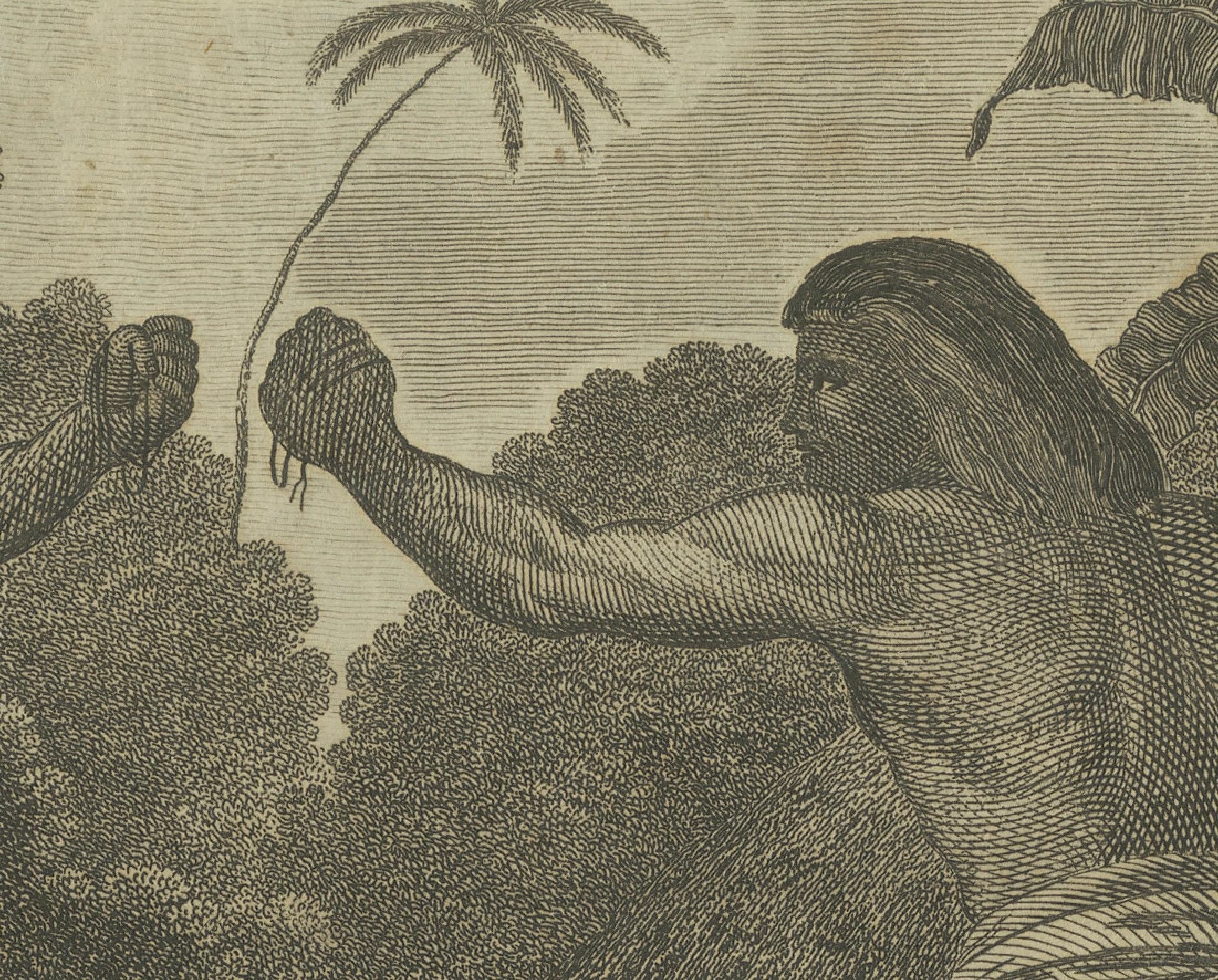 Traditions and Faces of the Pacific: Boxing in Ha'apai and a Man of Mangea, 1785 For Sale 1