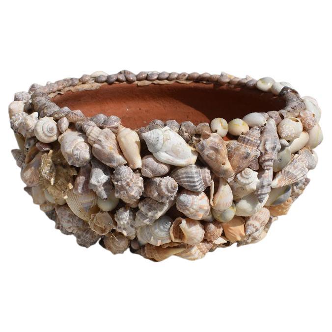 Terracotta encrusted sea shell bowl or planter. A beautiful addition to a patio or coffee table filled with flowers of your choice.

Dimensions:
8