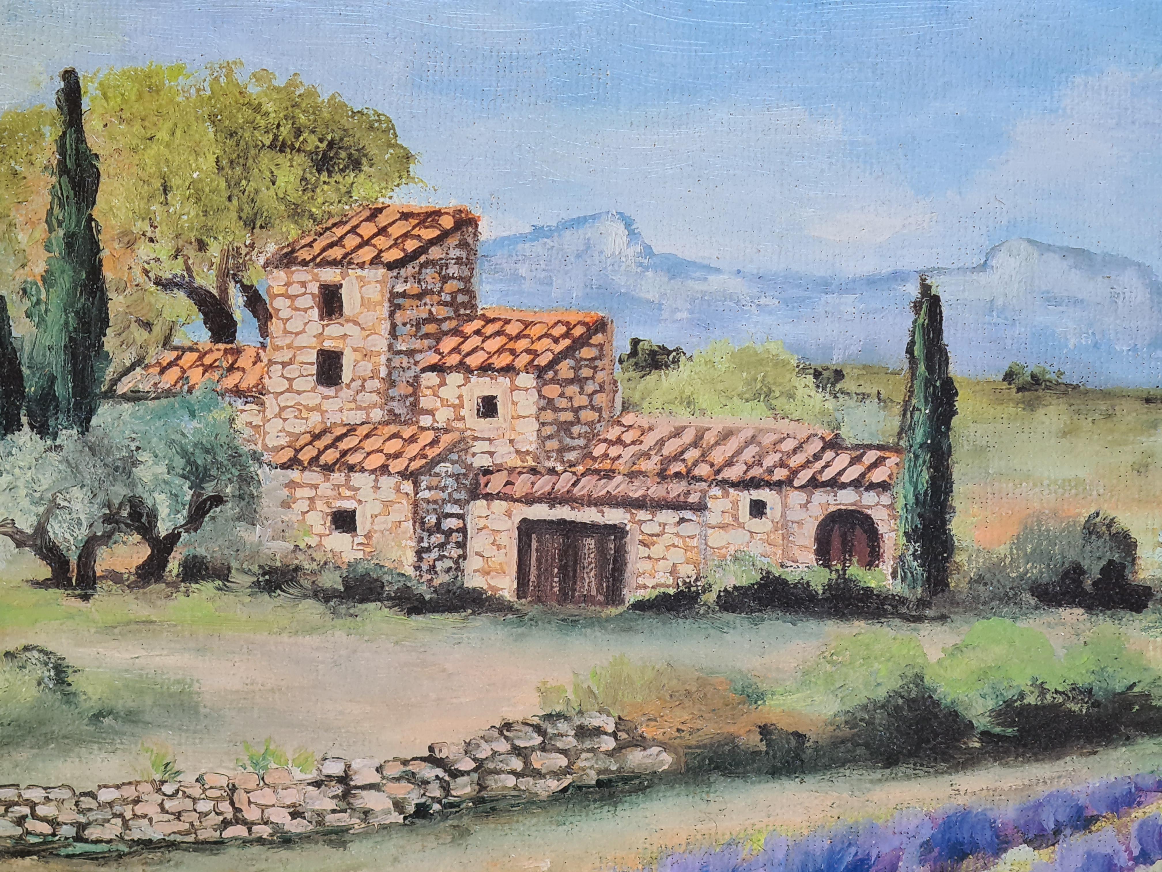 lavanda francese