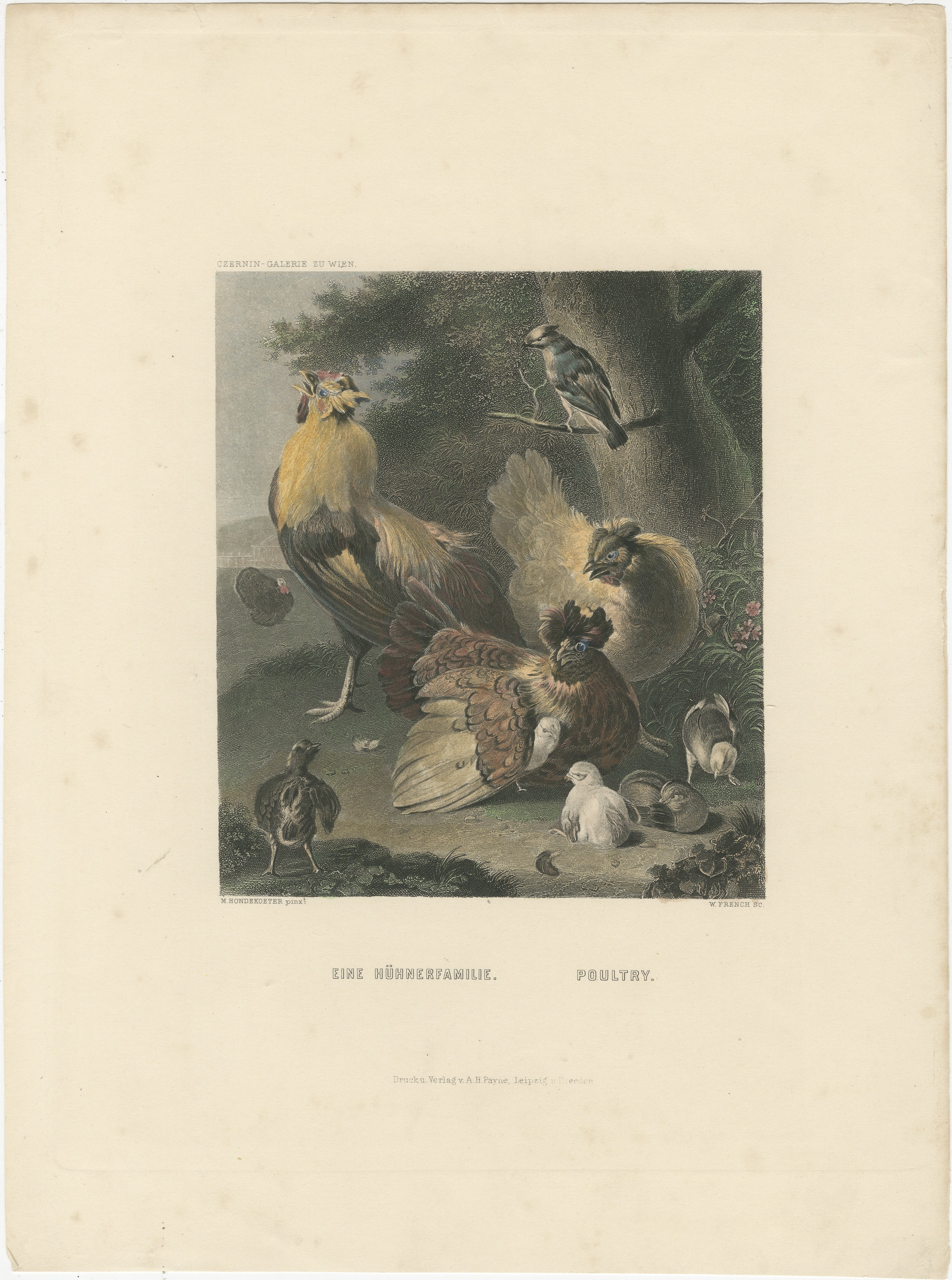 The print is a detailed illustration of poultry, specifically a family of chickens, set in a natural environment. Here is a description of this print:

1. Setting:
   - The scene is set in a rural, natural environment with a tree and foliage in the