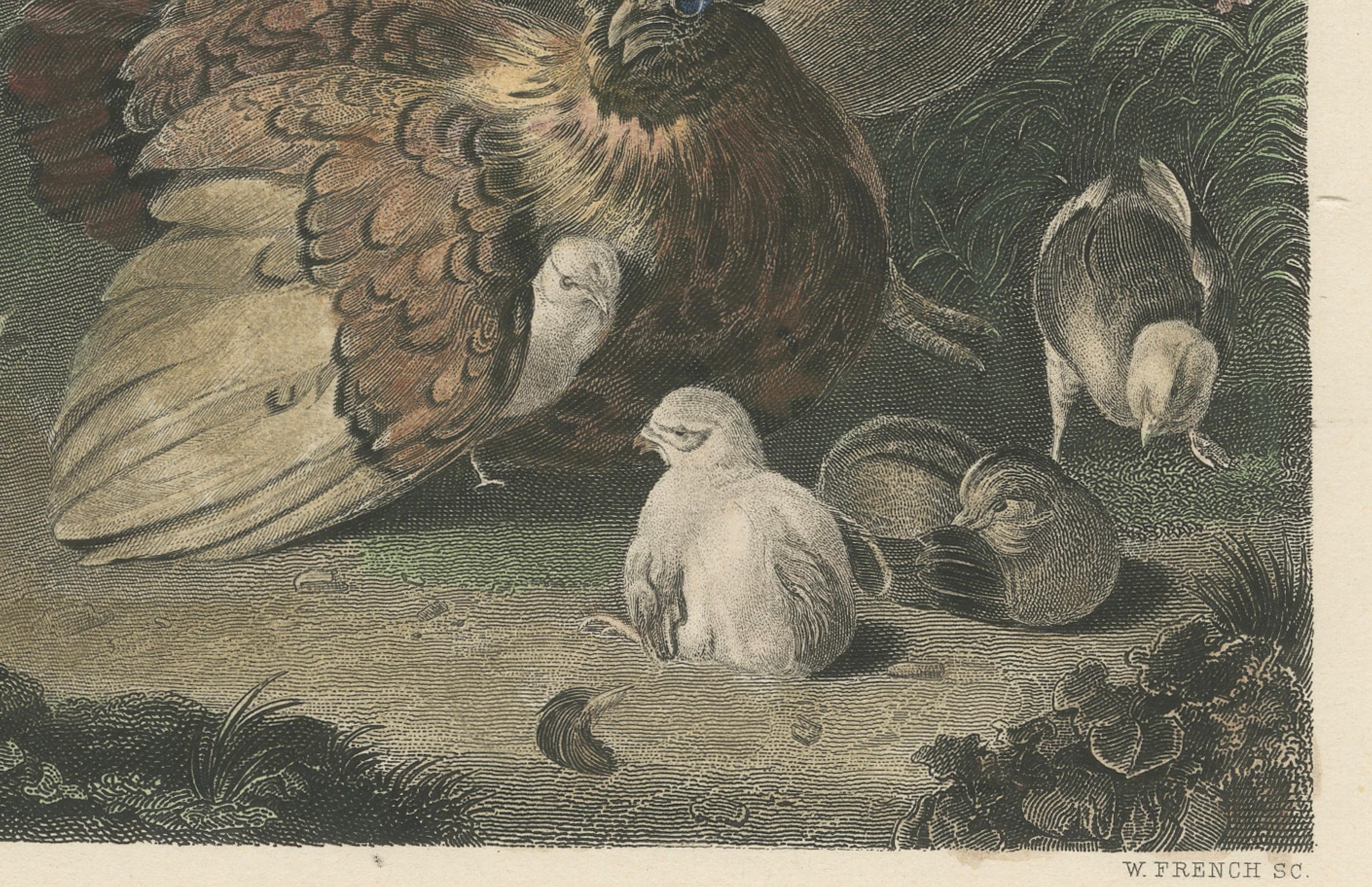 Mid-19th Century Tranquil Homestead: A Family of Chickens, circa 1860 For Sale