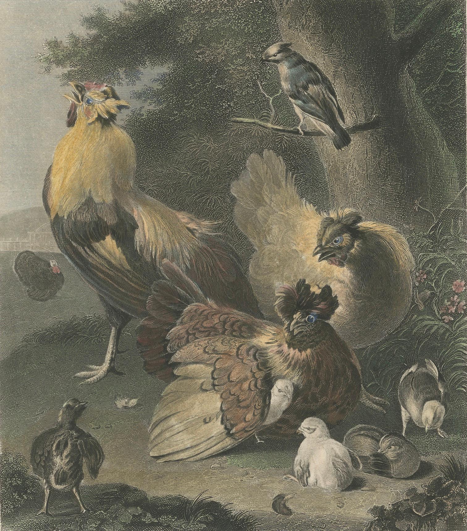 Tranquil Homestead: A Family of Chickens, circa 1860 For Sale 2