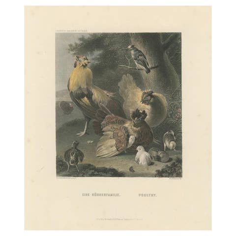 Tranquil Homestead: A Family of Chickens, circa 1860