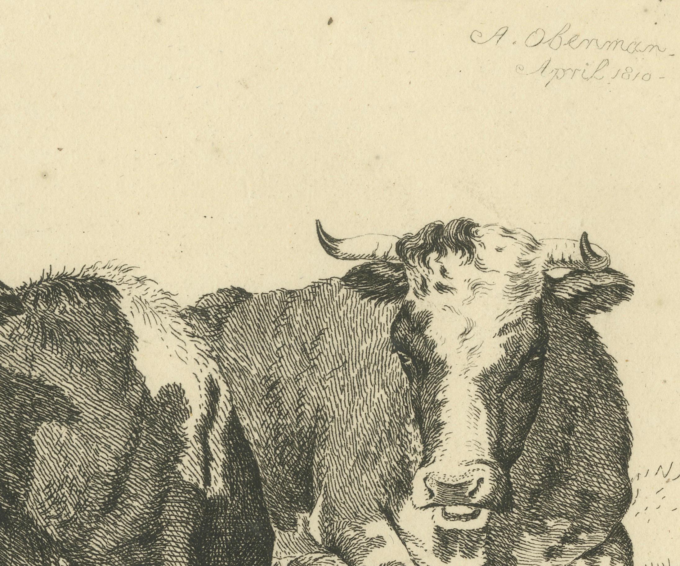 Scène pastorale en Tranquil avec deux vaches en train de se reposer, par Anthony Oberman en 1810 Bon état - En vente à Langweer, NL