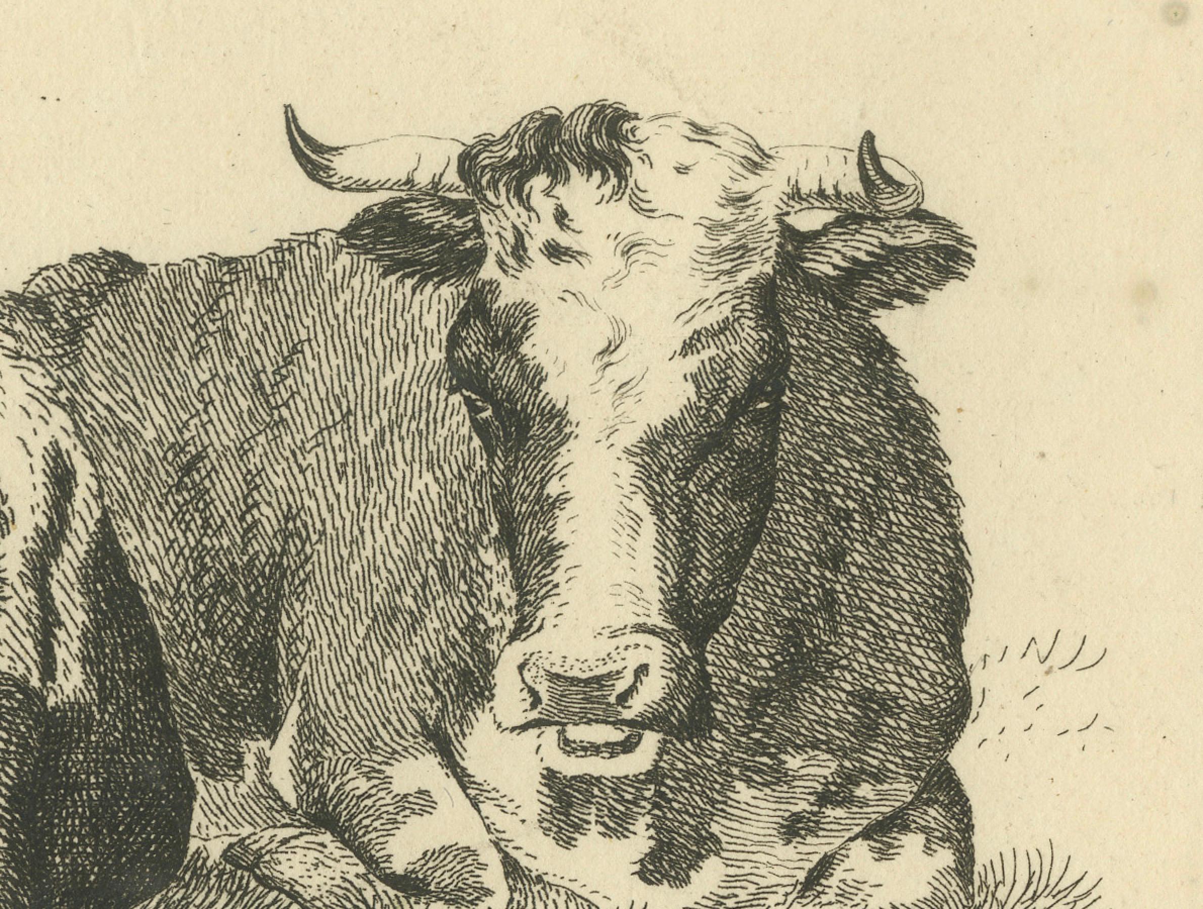 Début du XIXe siècle Scène pastorale en Tranquil avec deux vaches en train de se reposer, par Anthony Oberman en 1810 en vente