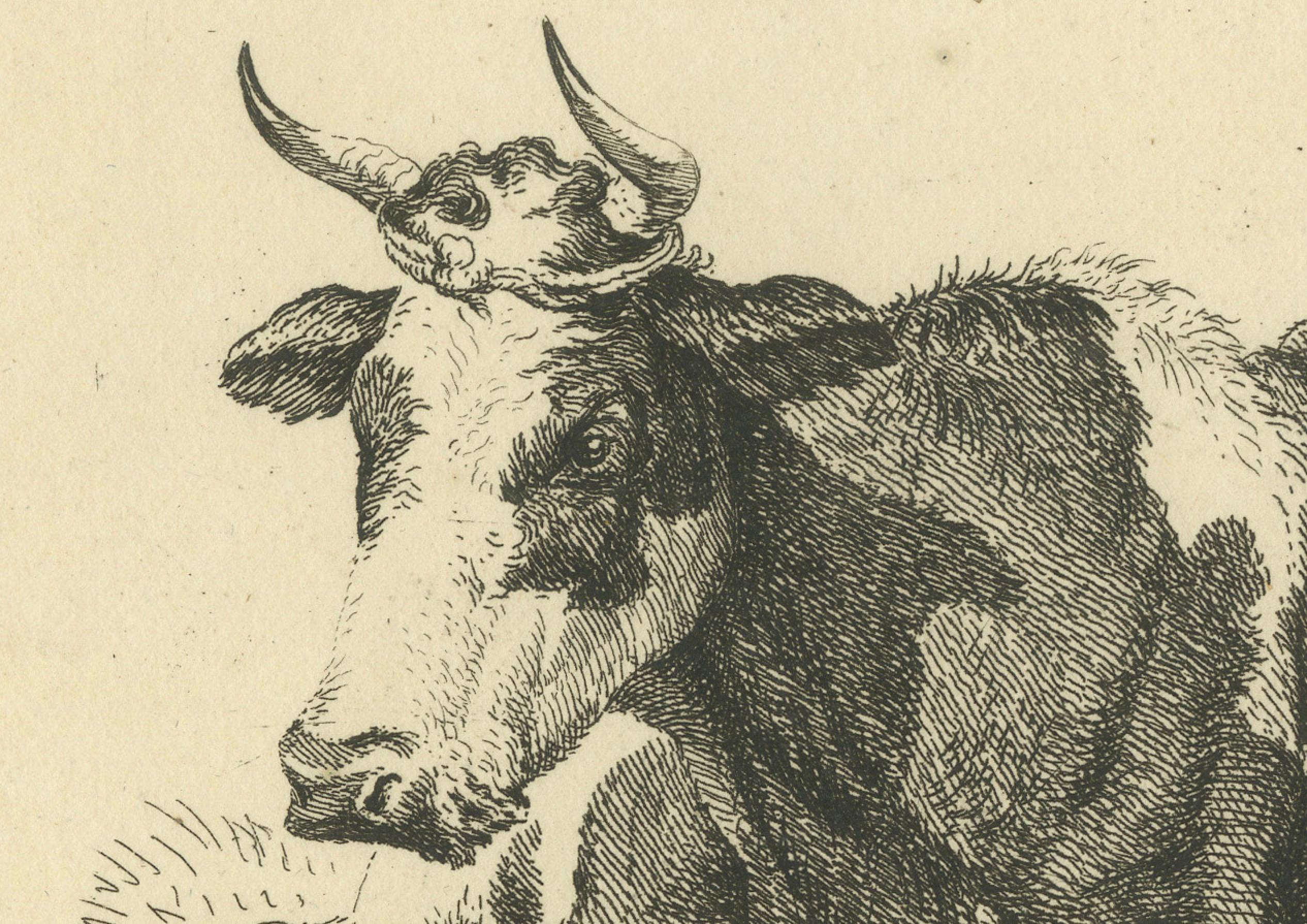 Papier Scène pastorale en Tranquil avec deux vaches en train de se reposer, par Anthony Oberman en 1810 en vente