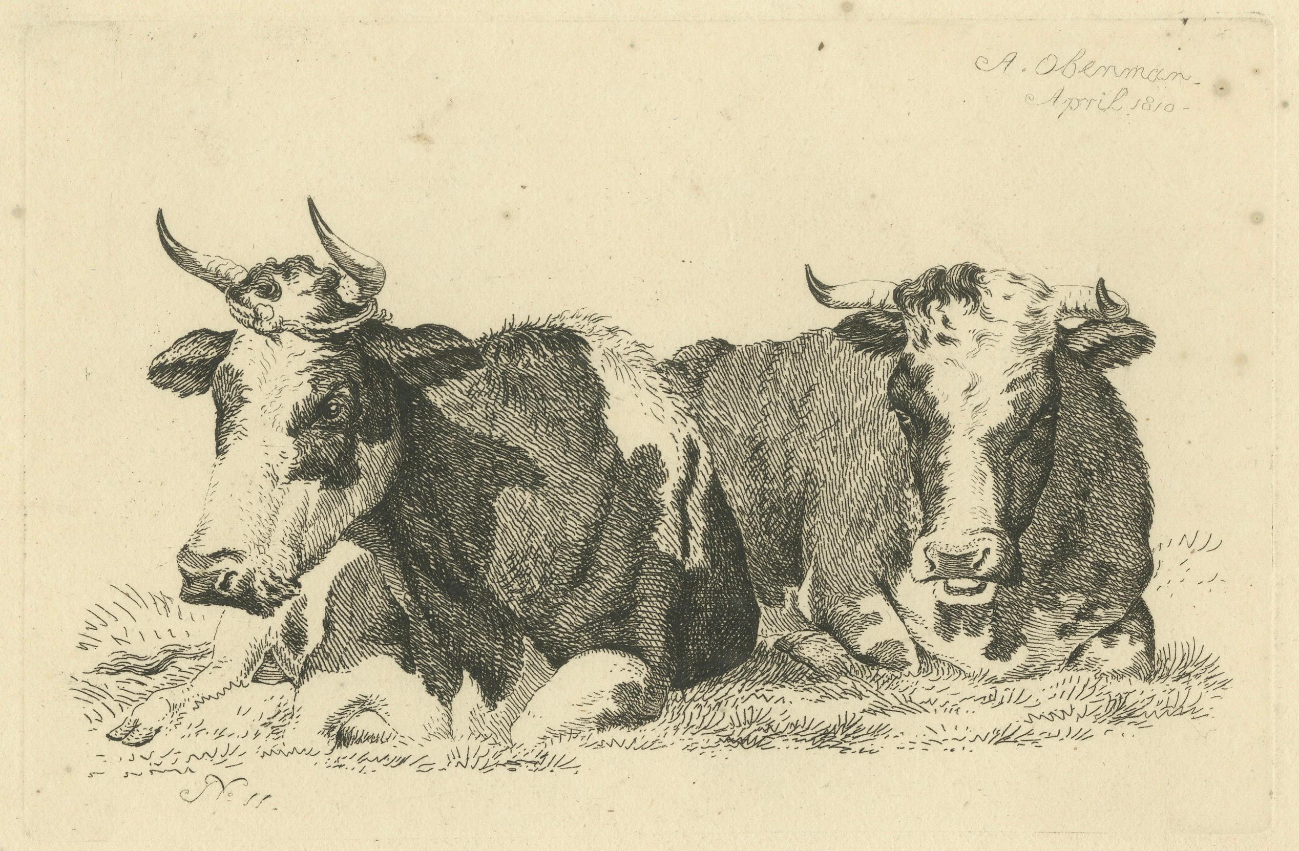 Scène pastorale en Tranquil avec deux vaches en train de se reposer, par Anthony Oberman en 1810 en vente 1