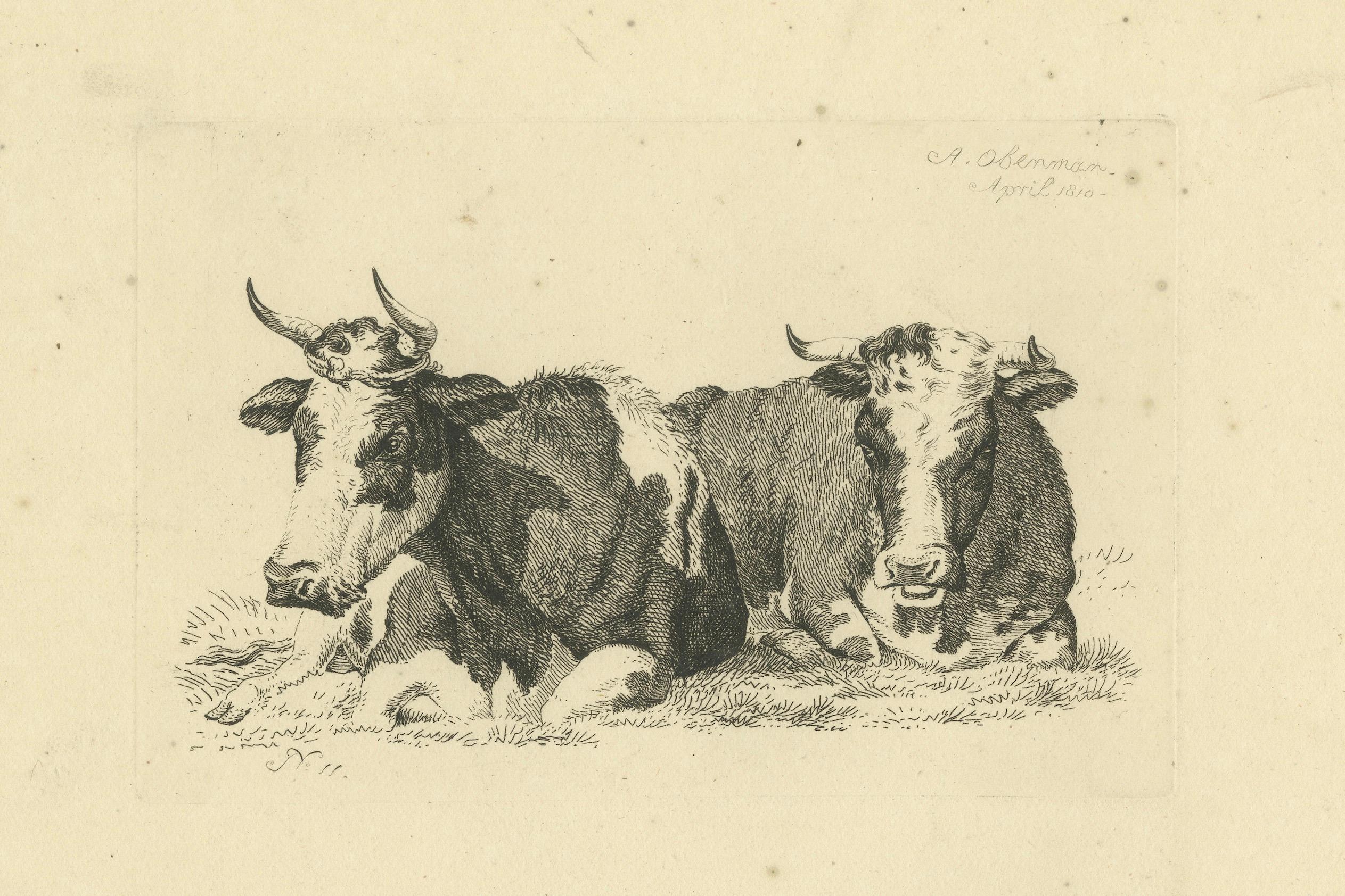 Scène pastorale en Tranquil avec deux vaches en train de se reposer, par Anthony Oberman en 1810 en vente 2