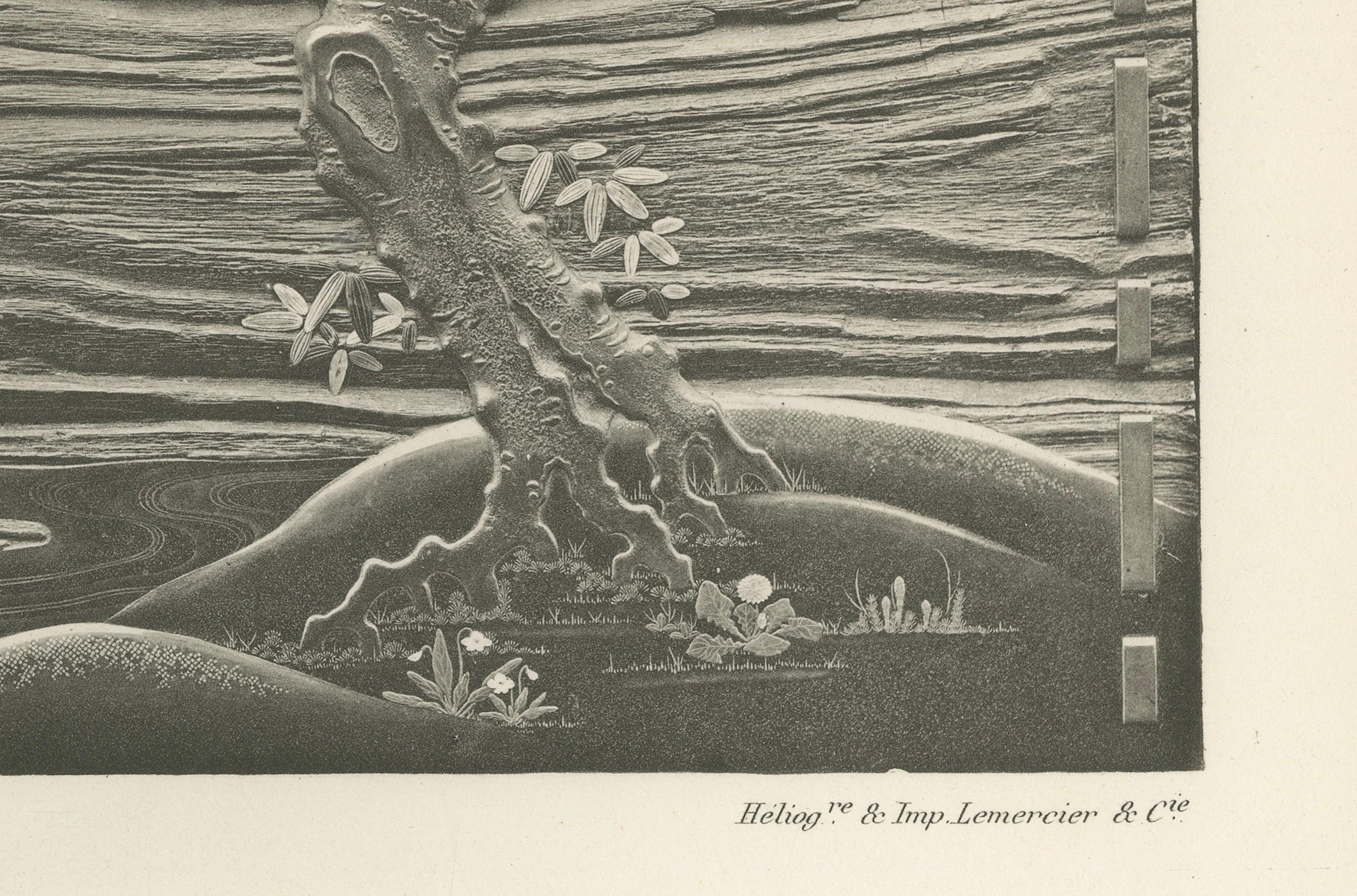 Ruhe in Monochrome - Japanisch inspirierte Chromolithographie von Audsley, 1884 im Zustand „Gut“ im Angebot in Langweer, NL