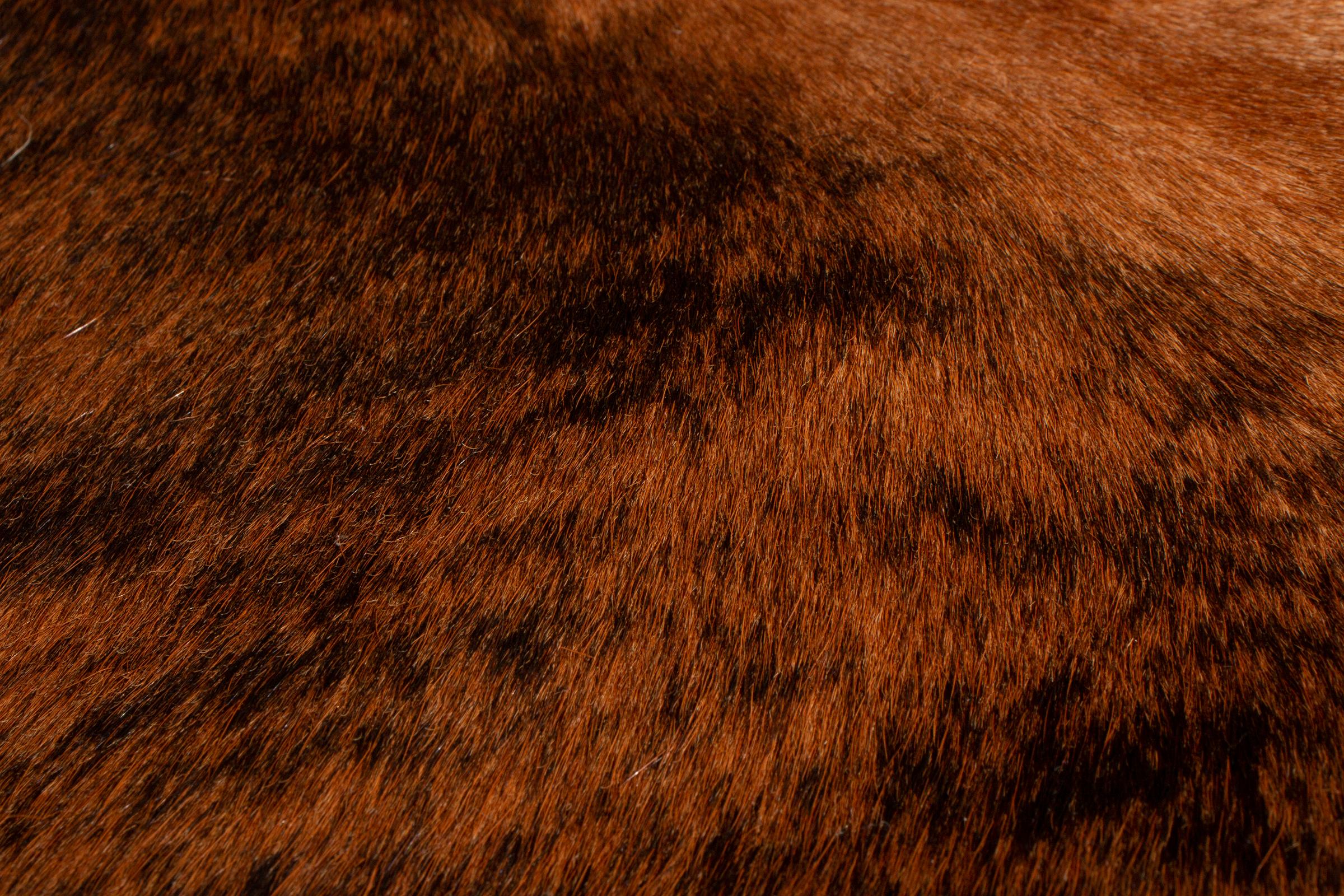 Animal Skin Transitional Medium Brindle Large Brown and Black Cowhide Rug