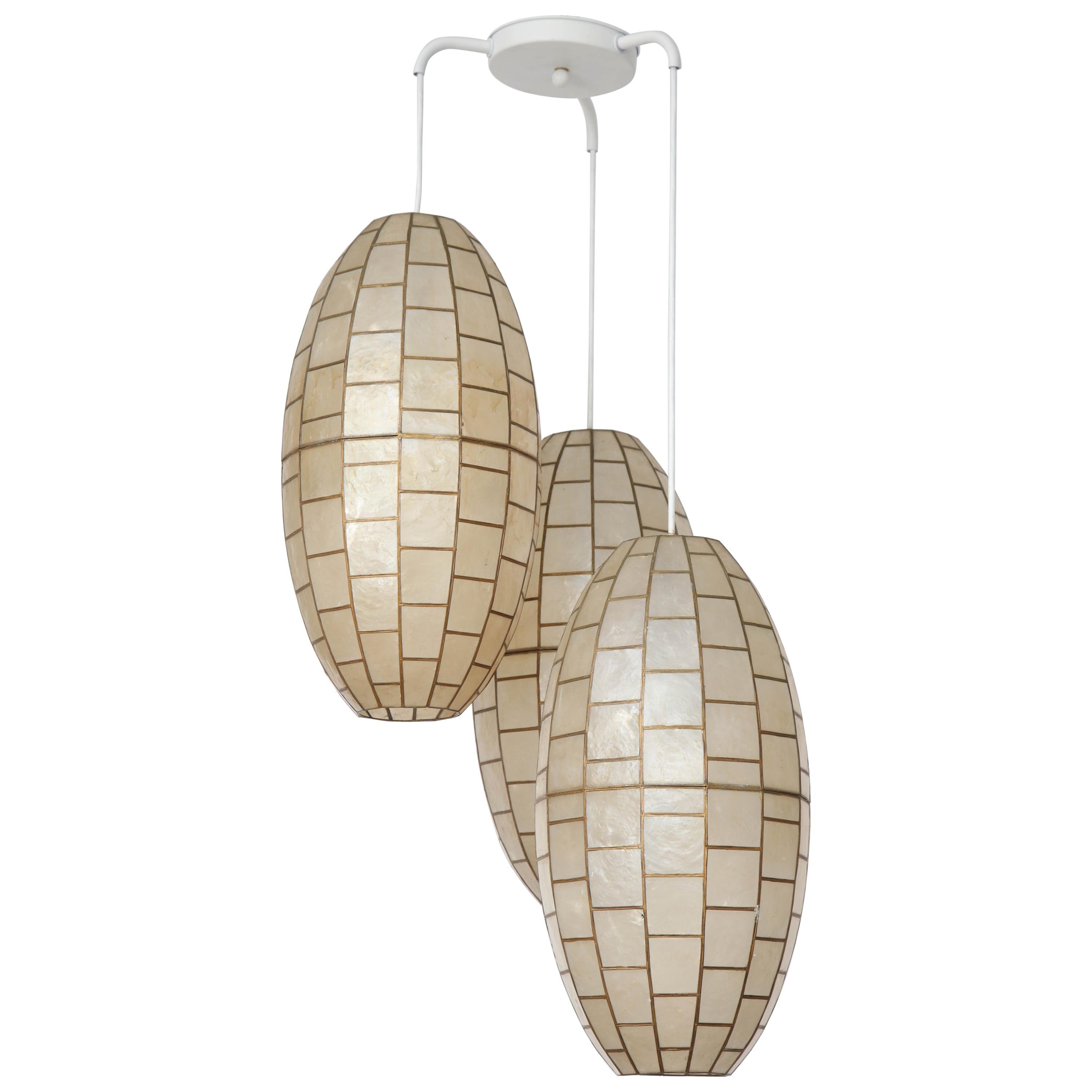 Translucent Shell and Metal Chandelier For Sale