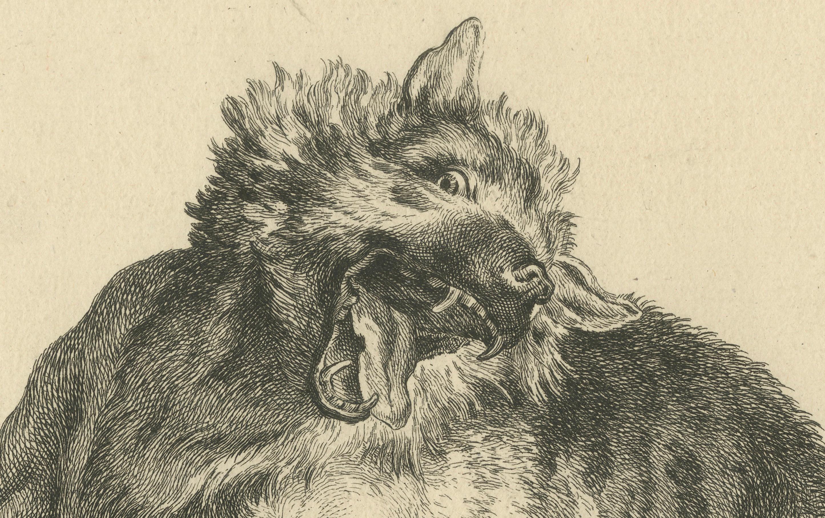 Gefangener Wolf: Eine detaillierte Radierung - um 1740 (Mitte des 18. Jahrhunderts) im Angebot