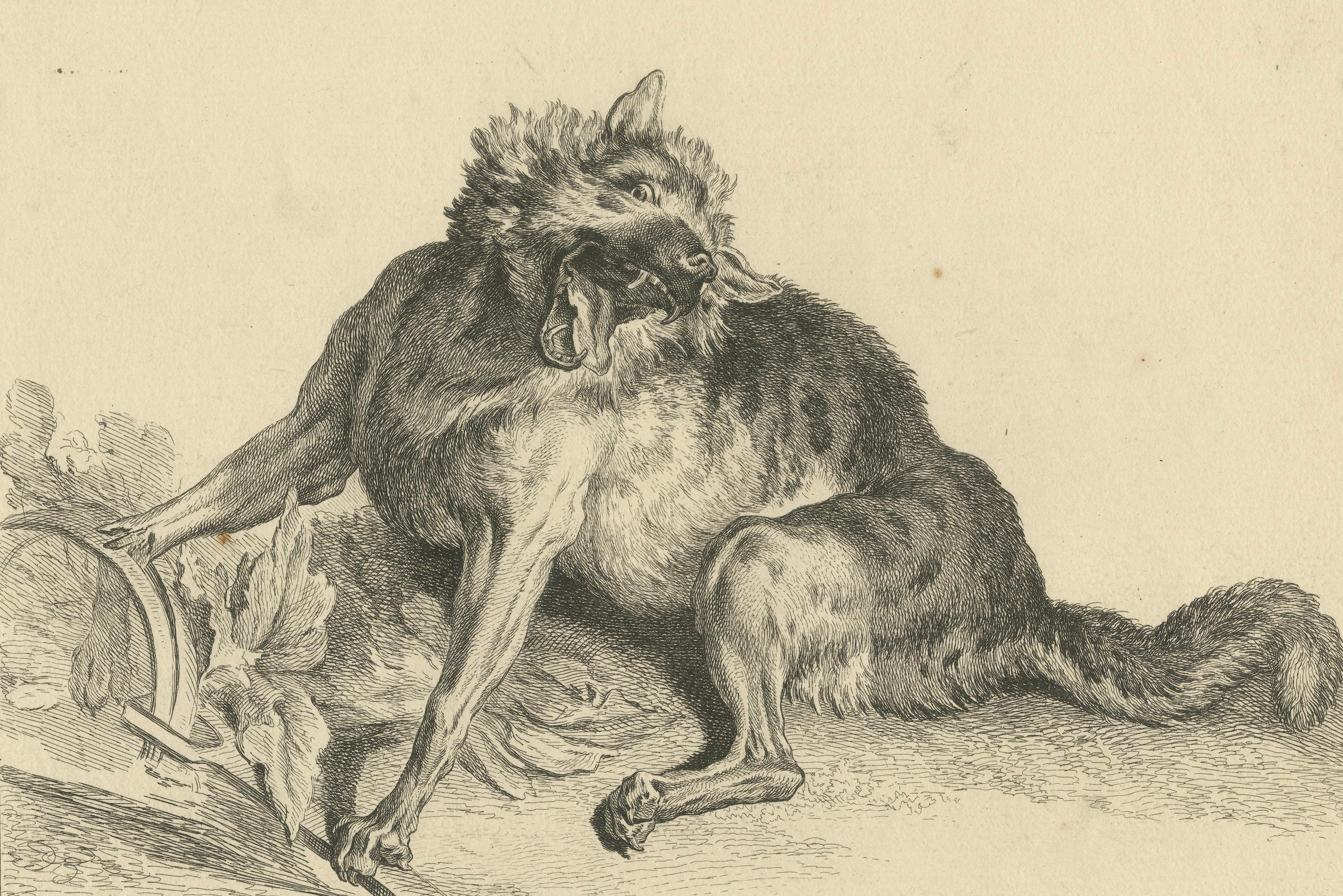 Gefangener Wolf: Eine detaillierte Radierung - um 1740 (Papier) im Angebot