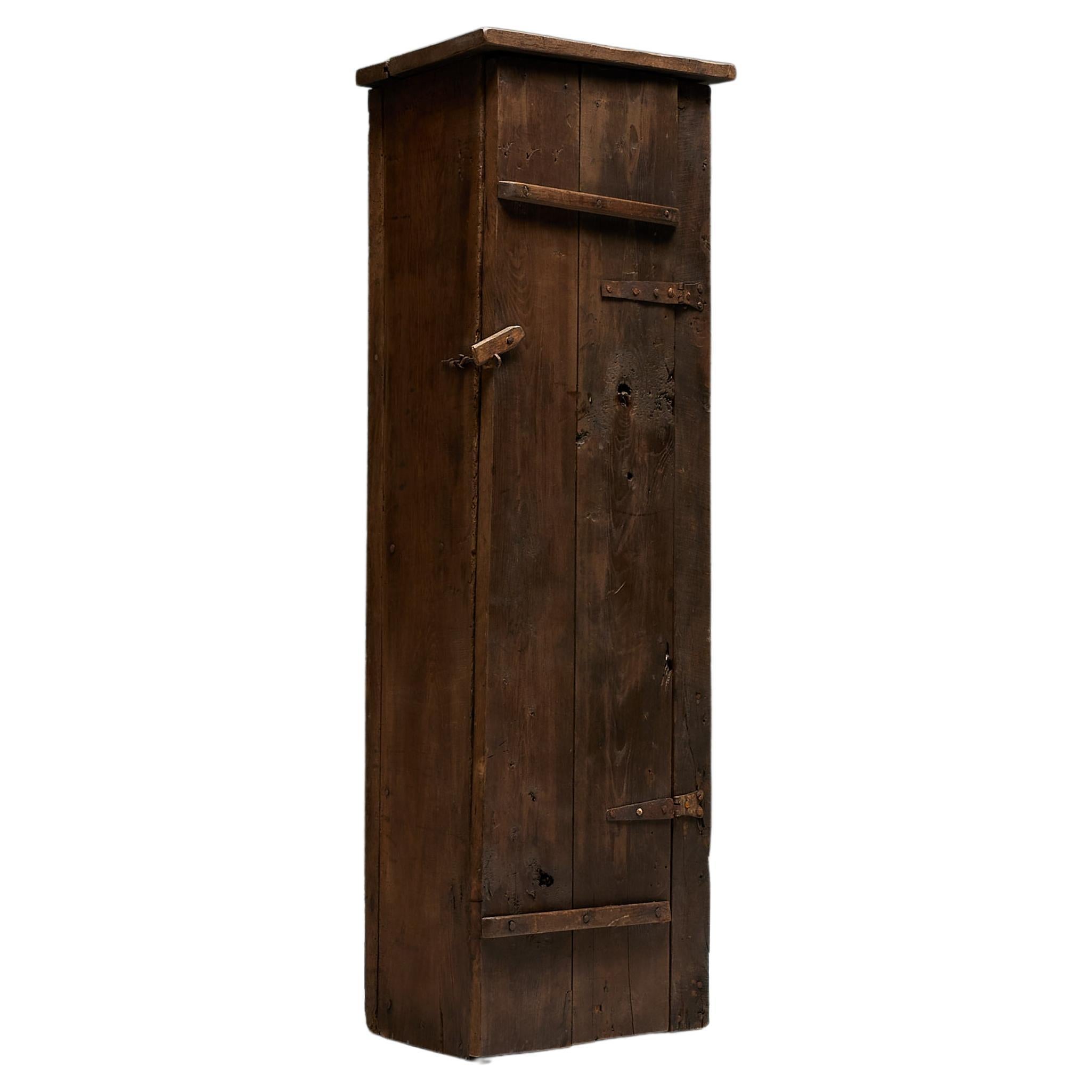 Travail Populaire Monoxylite Cupboard, France, 19th Century For Sale