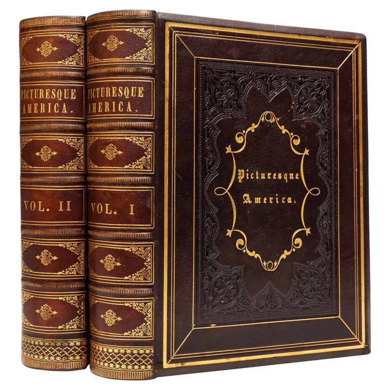 'Travel' 2 Volumes, Picturesque America For Sale