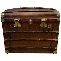 Travel Trunk made of Leather, Wood and Brass