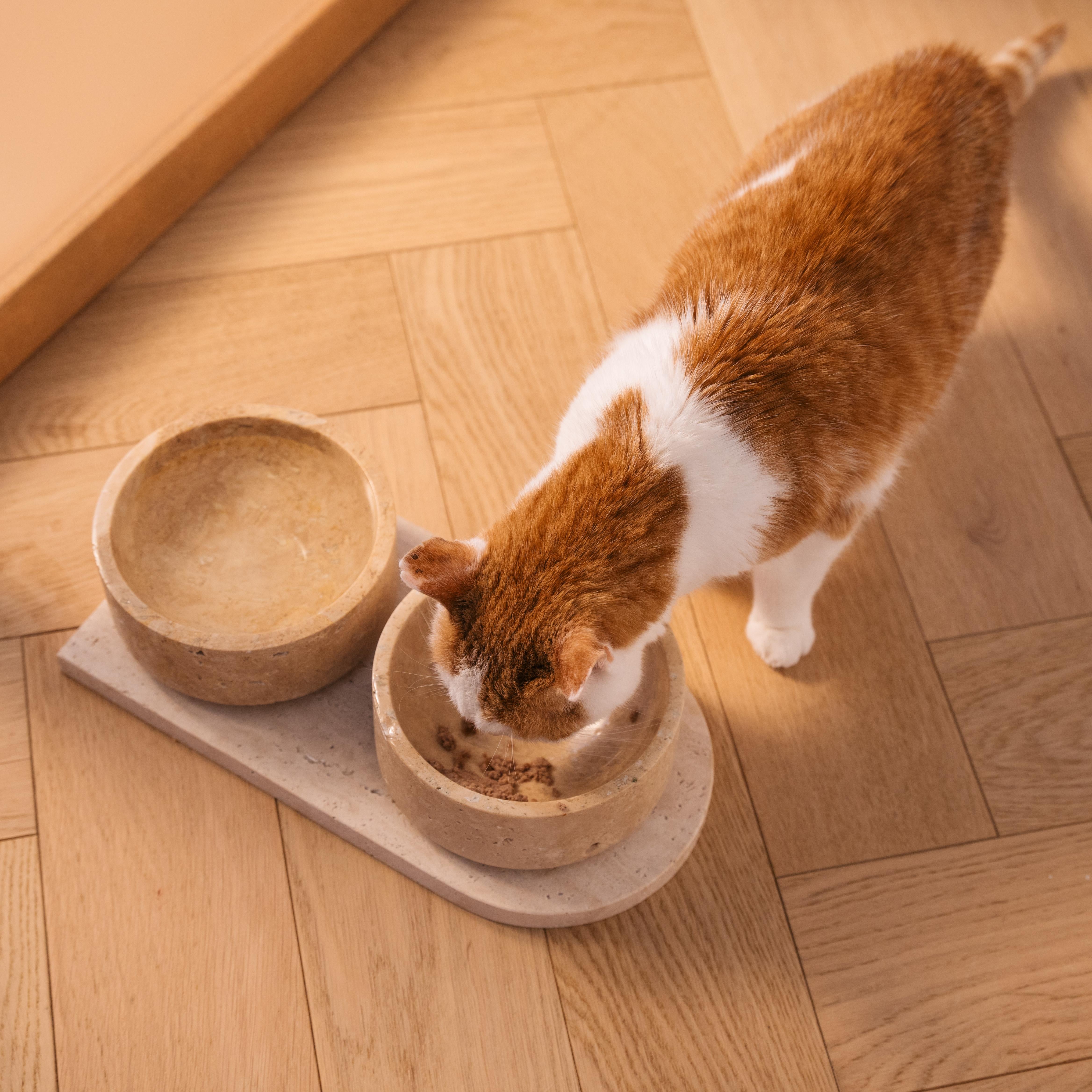 Travertine Cat or Dog Bowl Set For Sale 1
