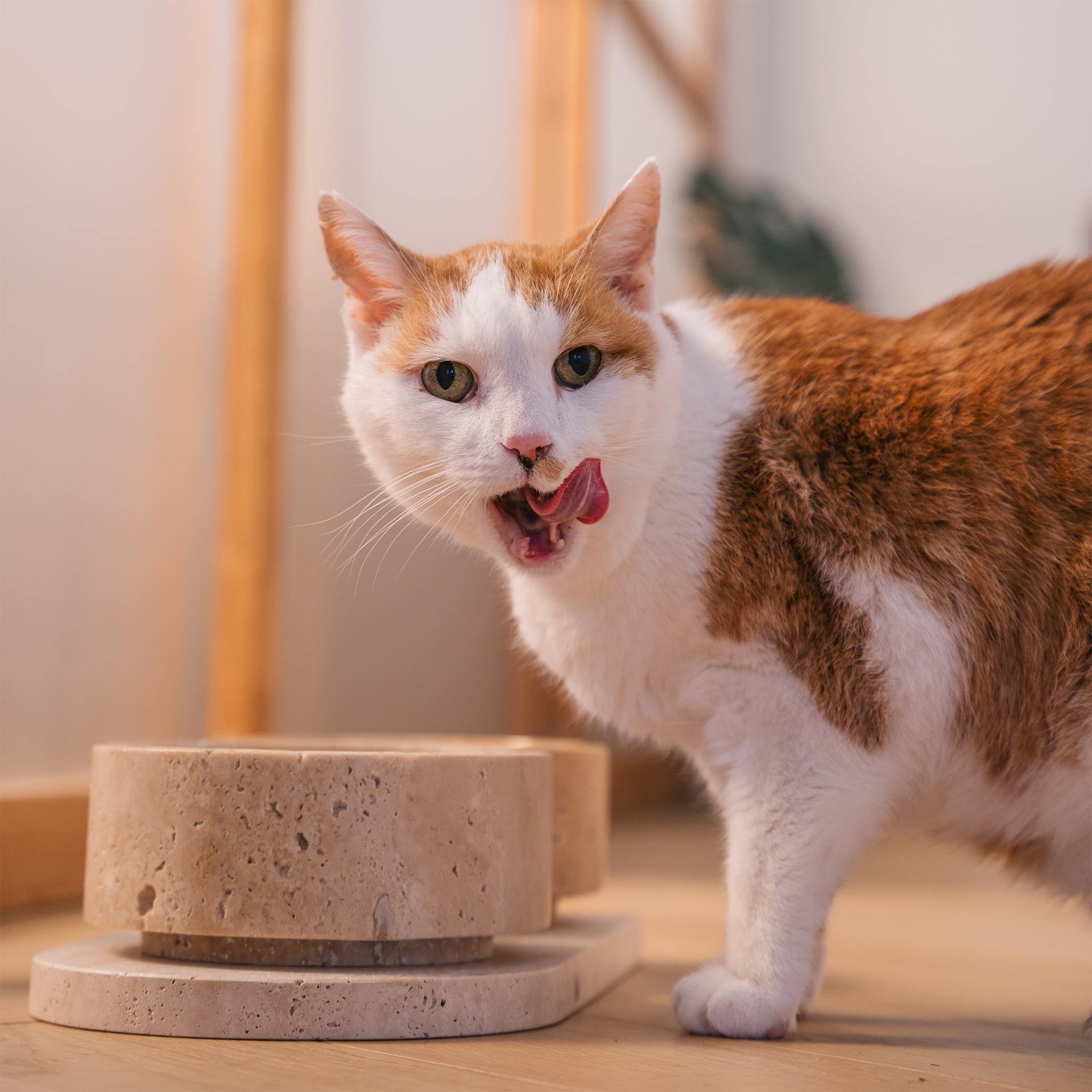 Travertine Cat or Dog Bowl Set For Sale 2