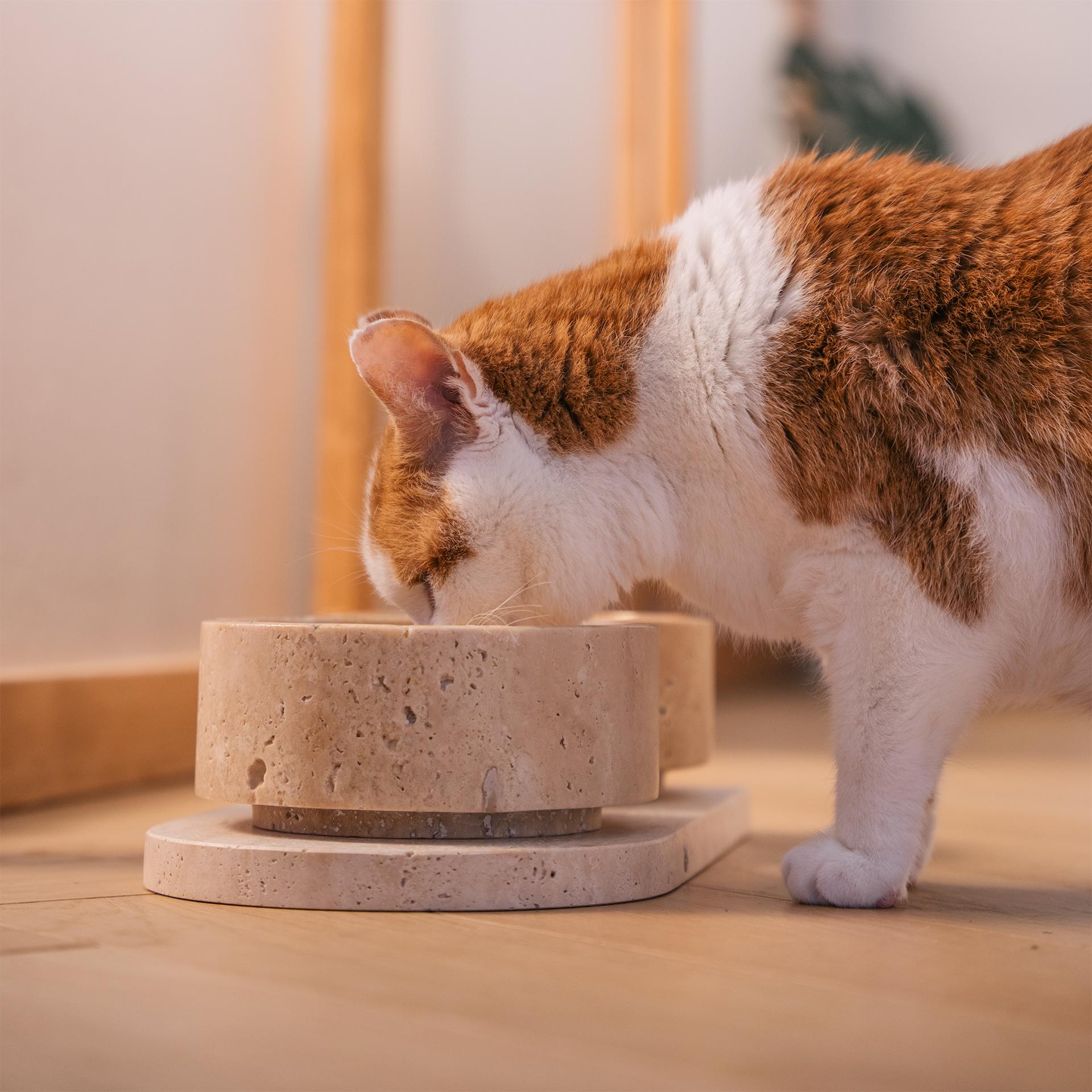Travertine Cat or Dog Bowl Set For Sale 3
