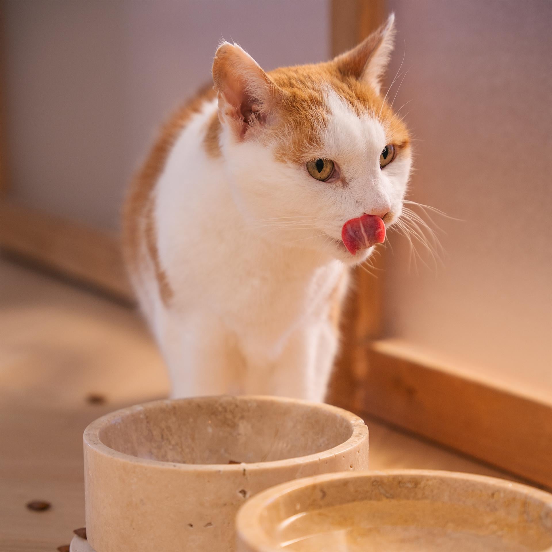 Dutch Travertine Cat or Dog Bowl Set For Sale
