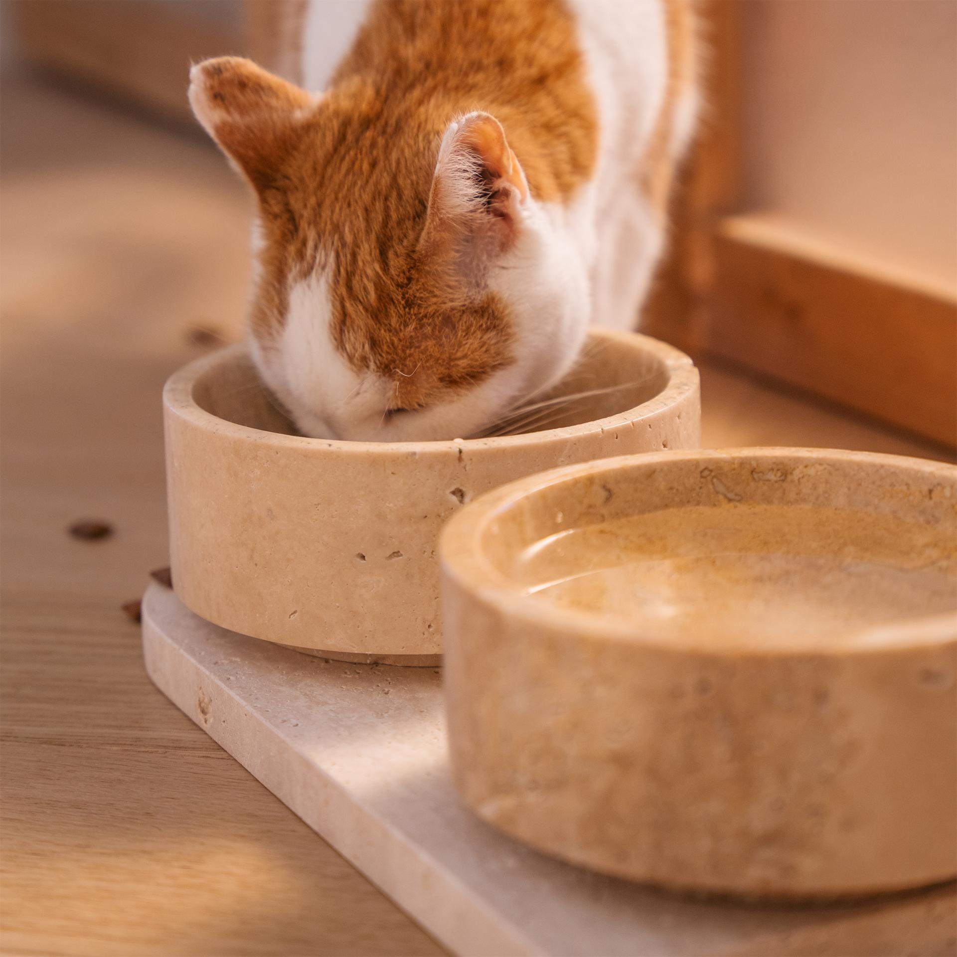 Hand-Crafted Travertine Cat or Dog Bowl Set For Sale