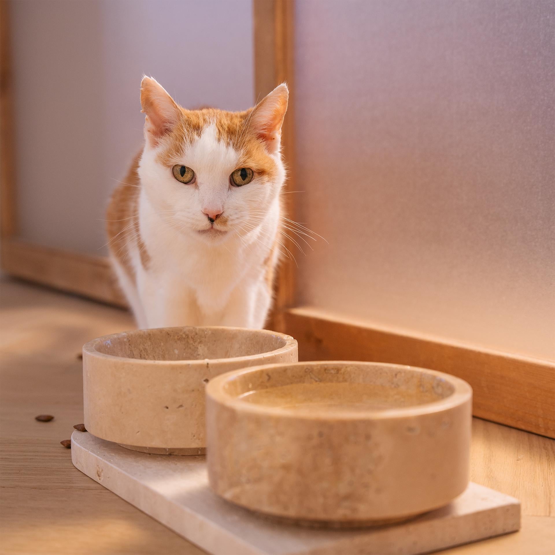 Travertine Cat or Dog Bowl Set In New Condition For Sale In Eindhoven, NB