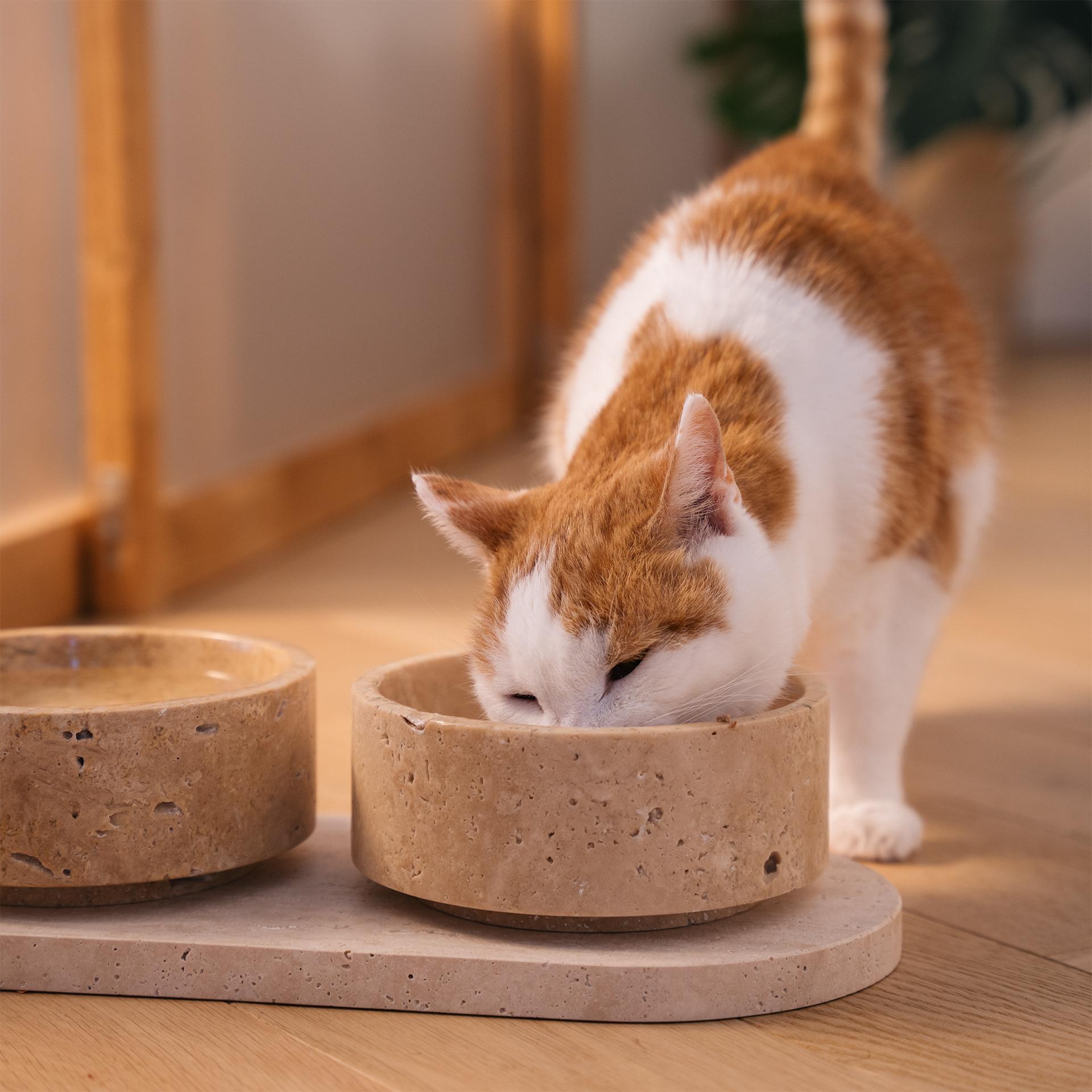 Contemporary Travertine Cat or Dog Bowl Set For Sale