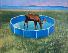 Moose in a Pool