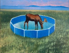 Moose in einem Pool