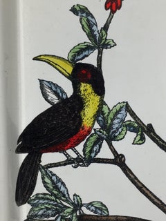 Tray by Piero Fornasetti, 1955