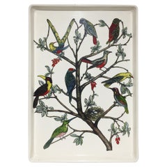 Tray by Piero Fornasetti, 1955
