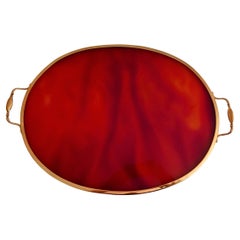 Tray Hollywood Regency  Brass Handles and Methacrylate Turtle Shell Design Italy
