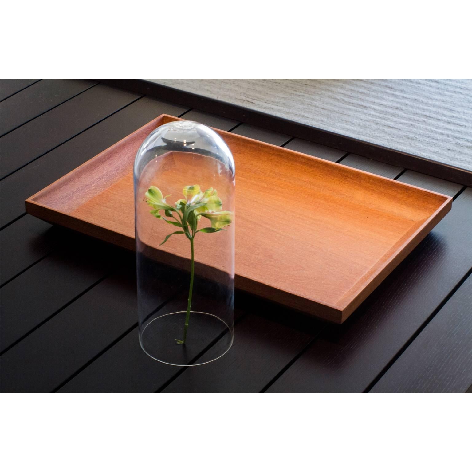 Wood Tray Made of Tropical Hardwood in Brazilian Contemporary Design For Sale
