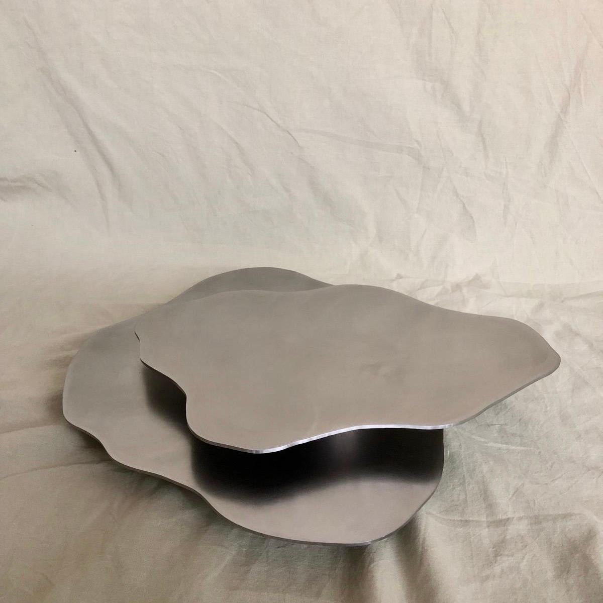 TRAY+ Geschliffener Edelstahl von Esther De Vos (Postmoderne) im Angebot