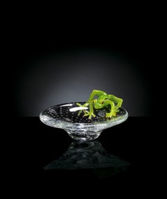 Tray with Frog, in Glass, Italy