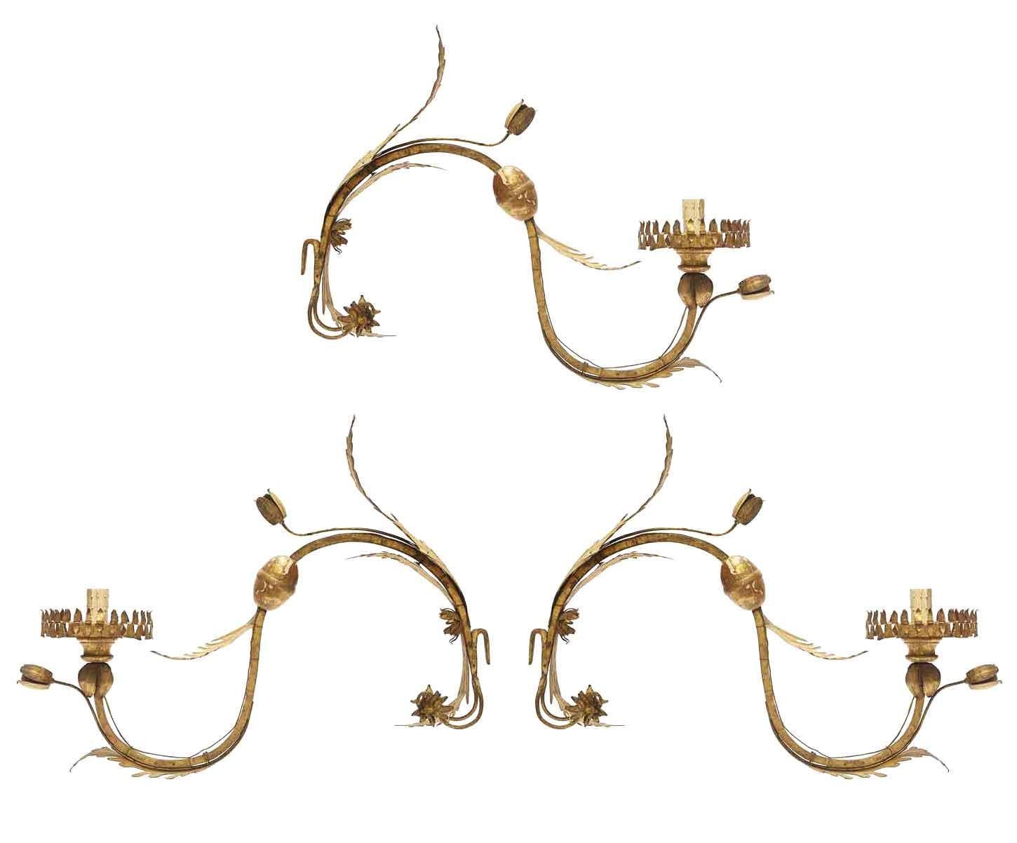 18th Century Tre Appliques Italiane 1700 Ensemble de trois bras courbés dorés avec fleurs et feuilles en vente
