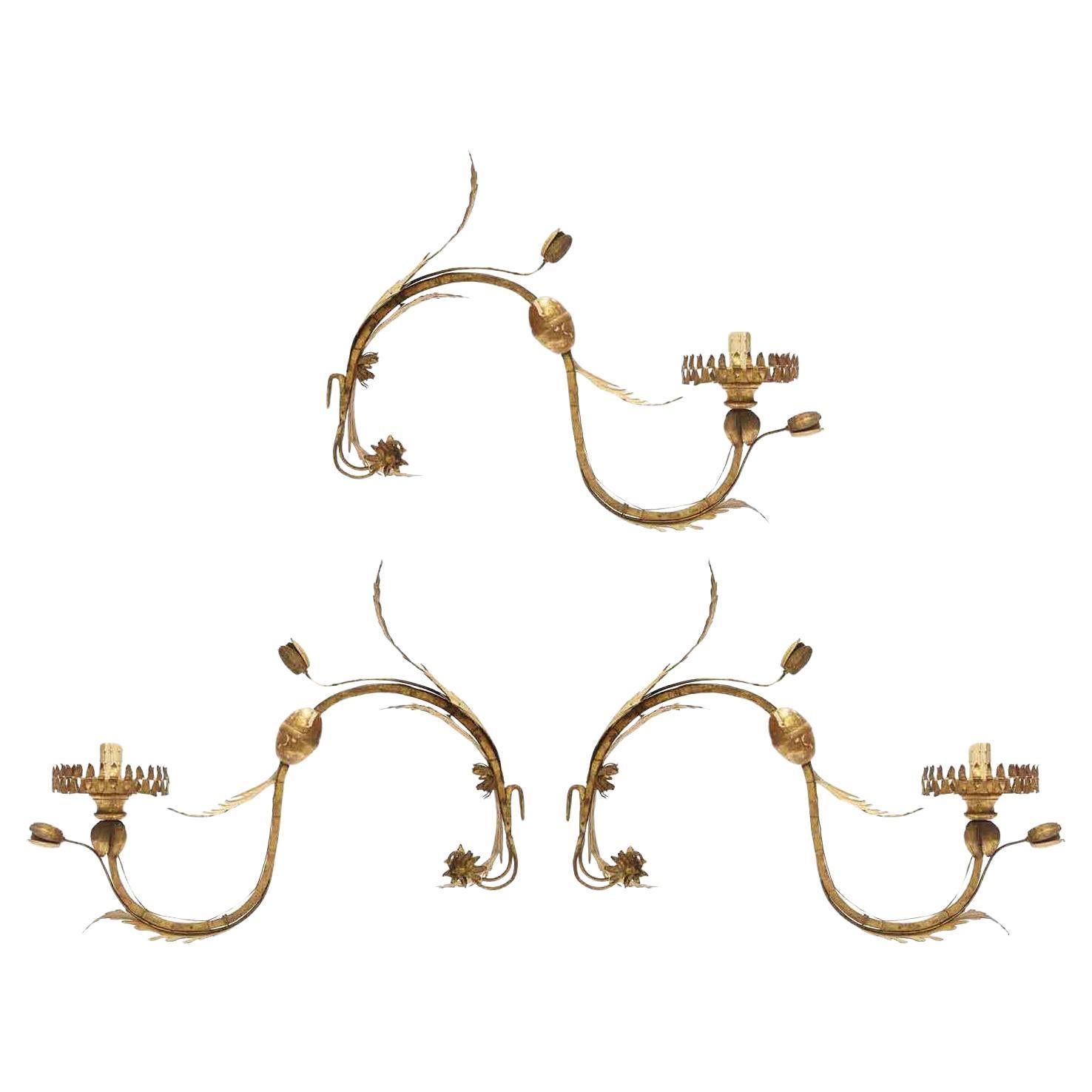 Three Italian Appliques 1700 Set of Three Golden Curved Arms With Flowers and Leaves For Sale