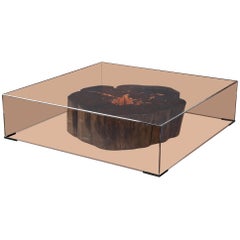 Treasures of Decay Limited Glass Edition, Sculptural Tables by Studio Roeper