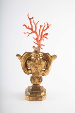 Treasures of the Sea: Large Mounted Mediterranean Coral on an Antique Gilt Base