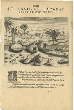 Treasures of the Tropics: Lac, Lancas, and Fagaras in De Bry's 1601 Engraving