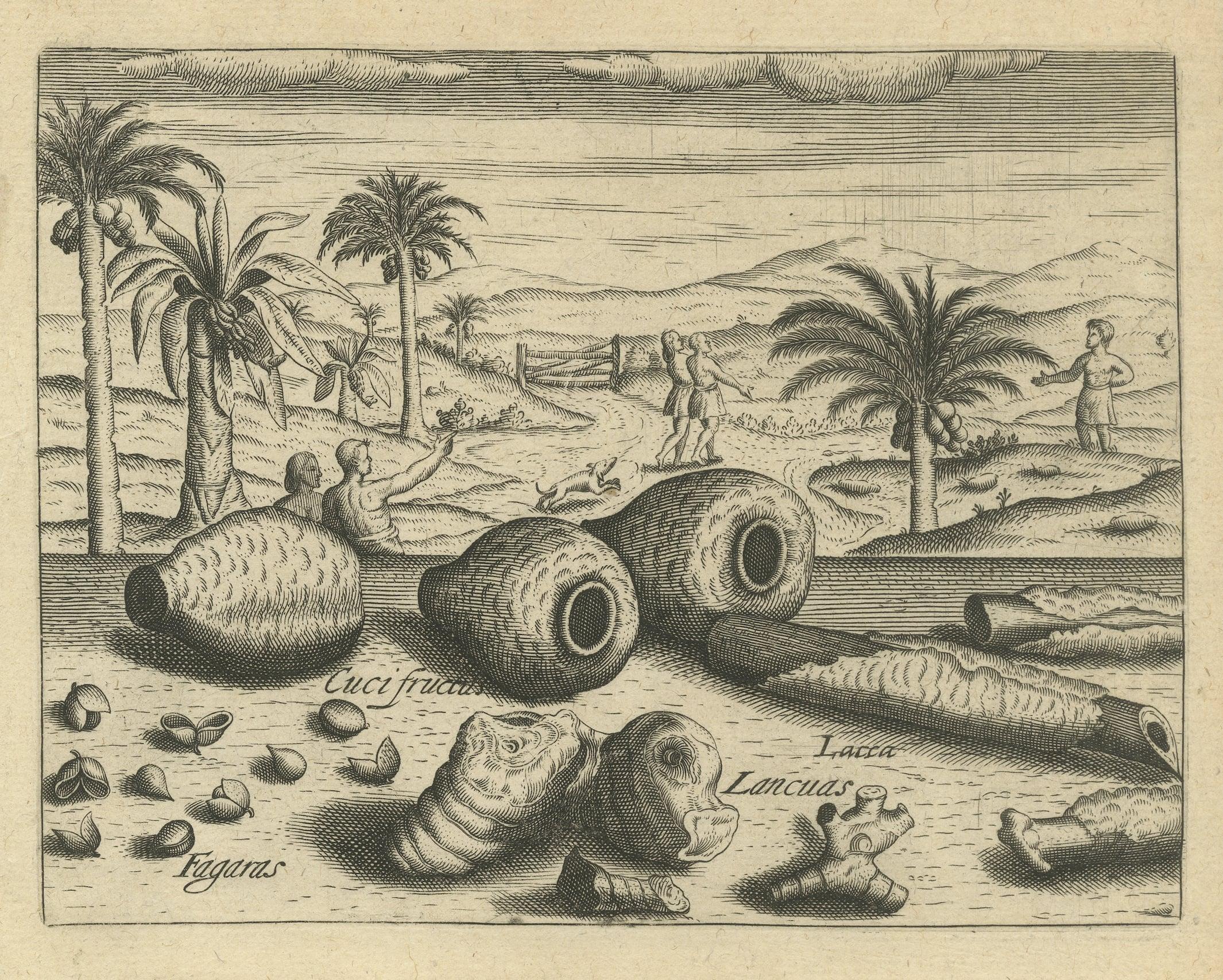 Engraved Treasures of the Tropics: Lac, Lancas, and Fagaras in De Bry's 1601 Engraving For Sale
