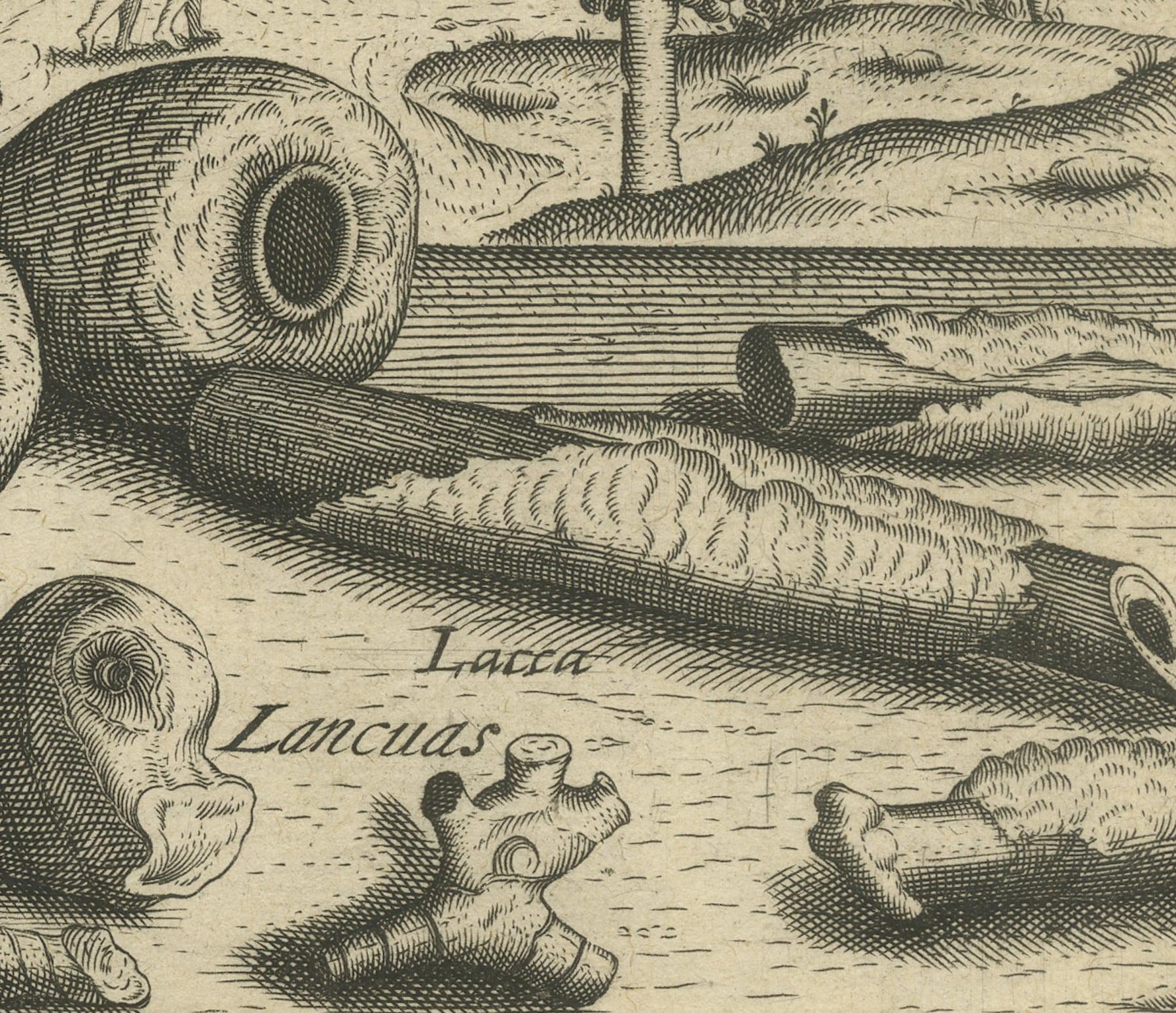 Paper Treasures of the Tropics: Lac, Lancas, and Fagaras in De Bry's 1601 Engraving For Sale