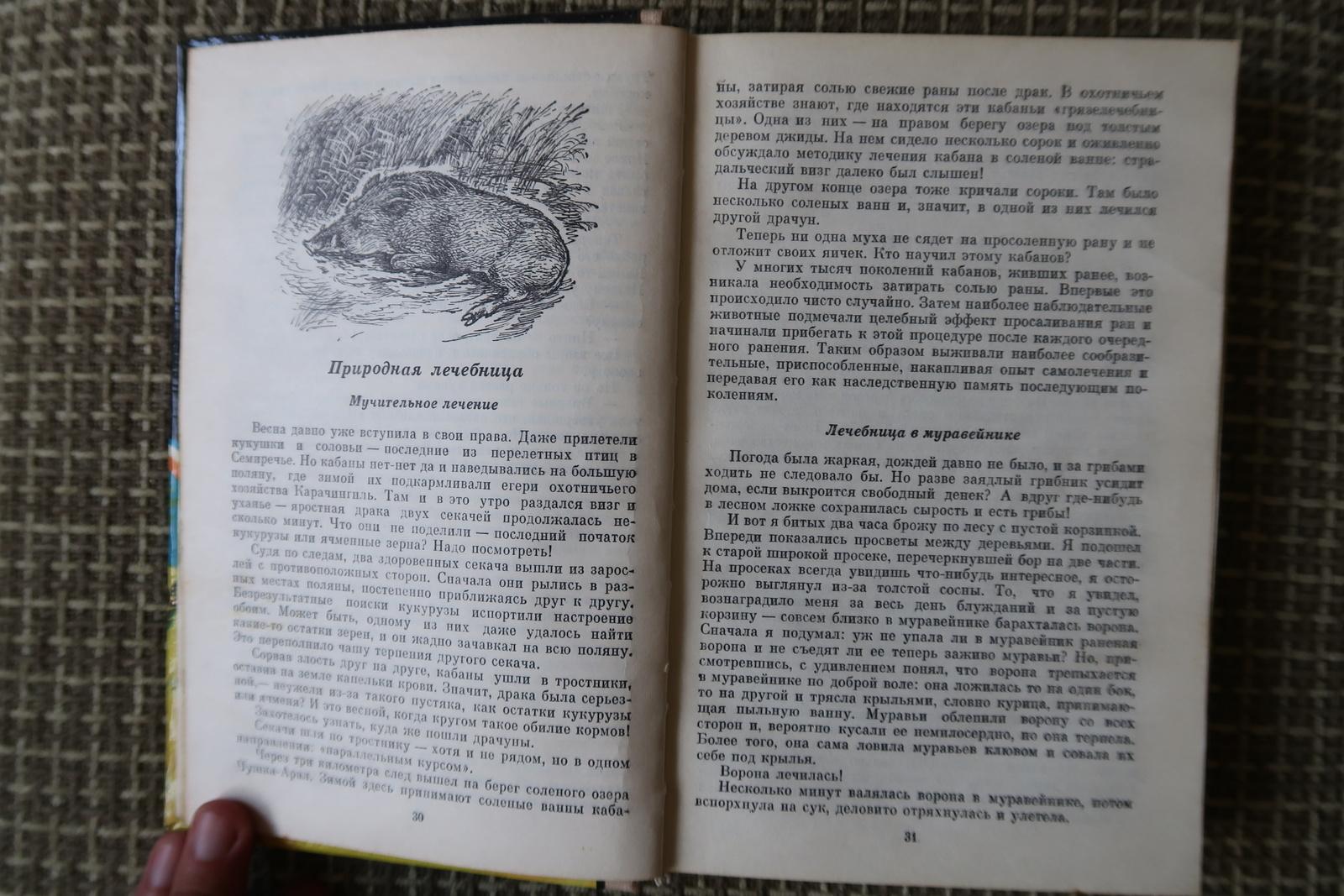 Treasury of Wonders : Histoires d'animaux vintage de l'URSS, 1J160 en vente 1