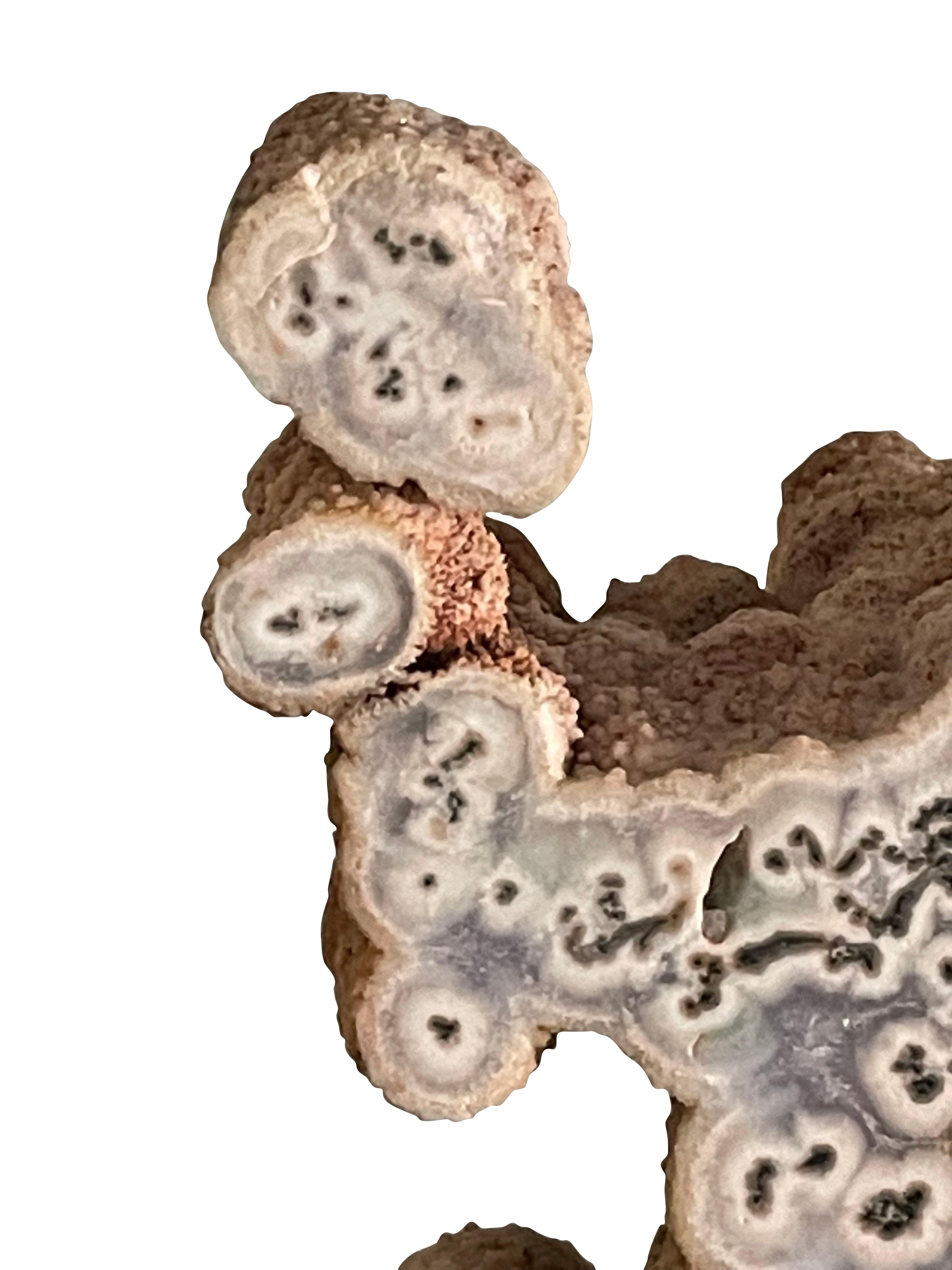 Brazilian tree agate mounted on Stand.
