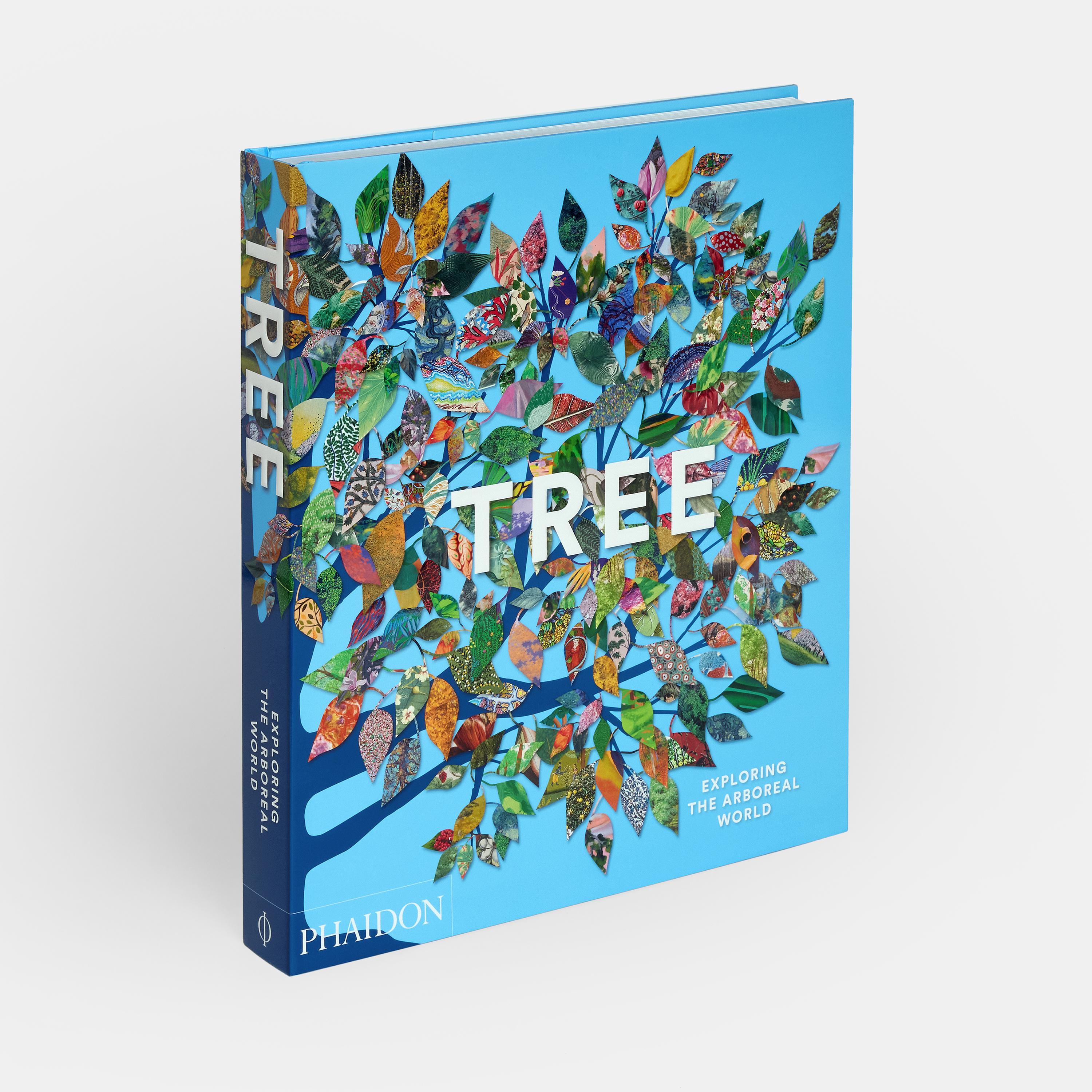 Cinese Albero: Esplorare il mondo arboreo in vendita