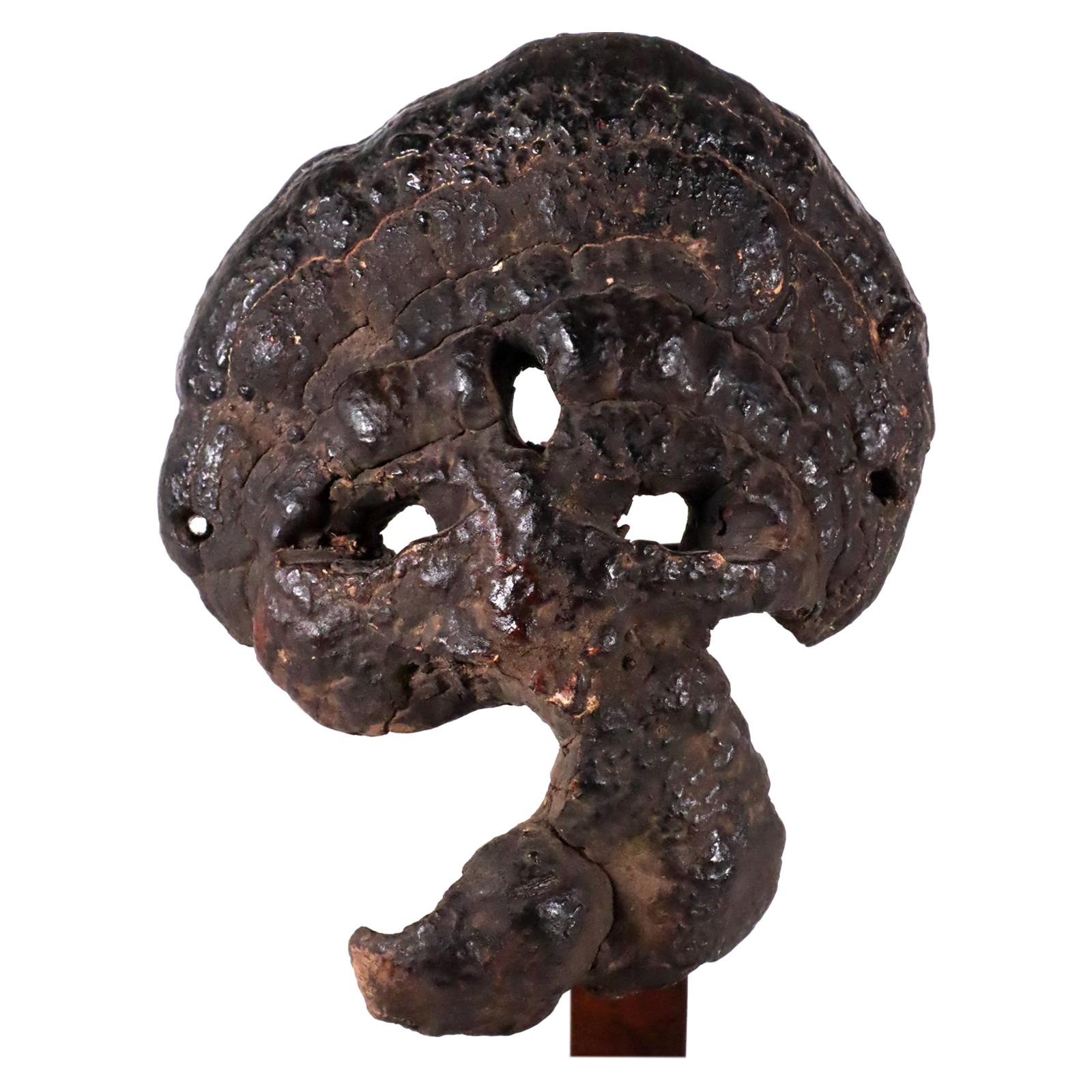 Dry tree Fungus Lingzhi Mask of Ganesha North India Himalayas Nepal Tibetan Art For Sale