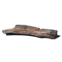 "Tree Jade" Chinese Petrified Wood Specimen