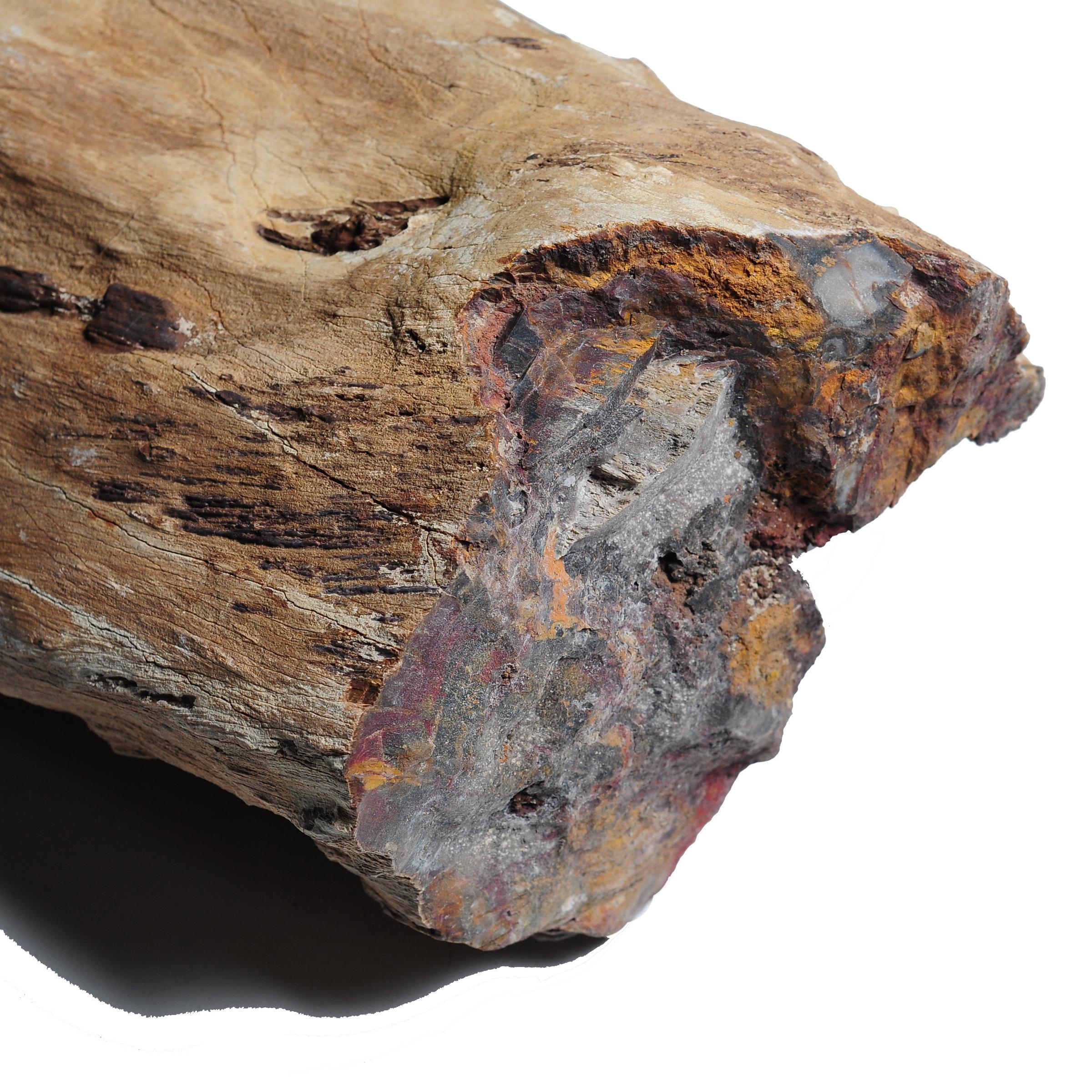 Like scholars' rocks, petrified, or fossilized, wood is appreciated for its natural beauty. Sometimes called 
