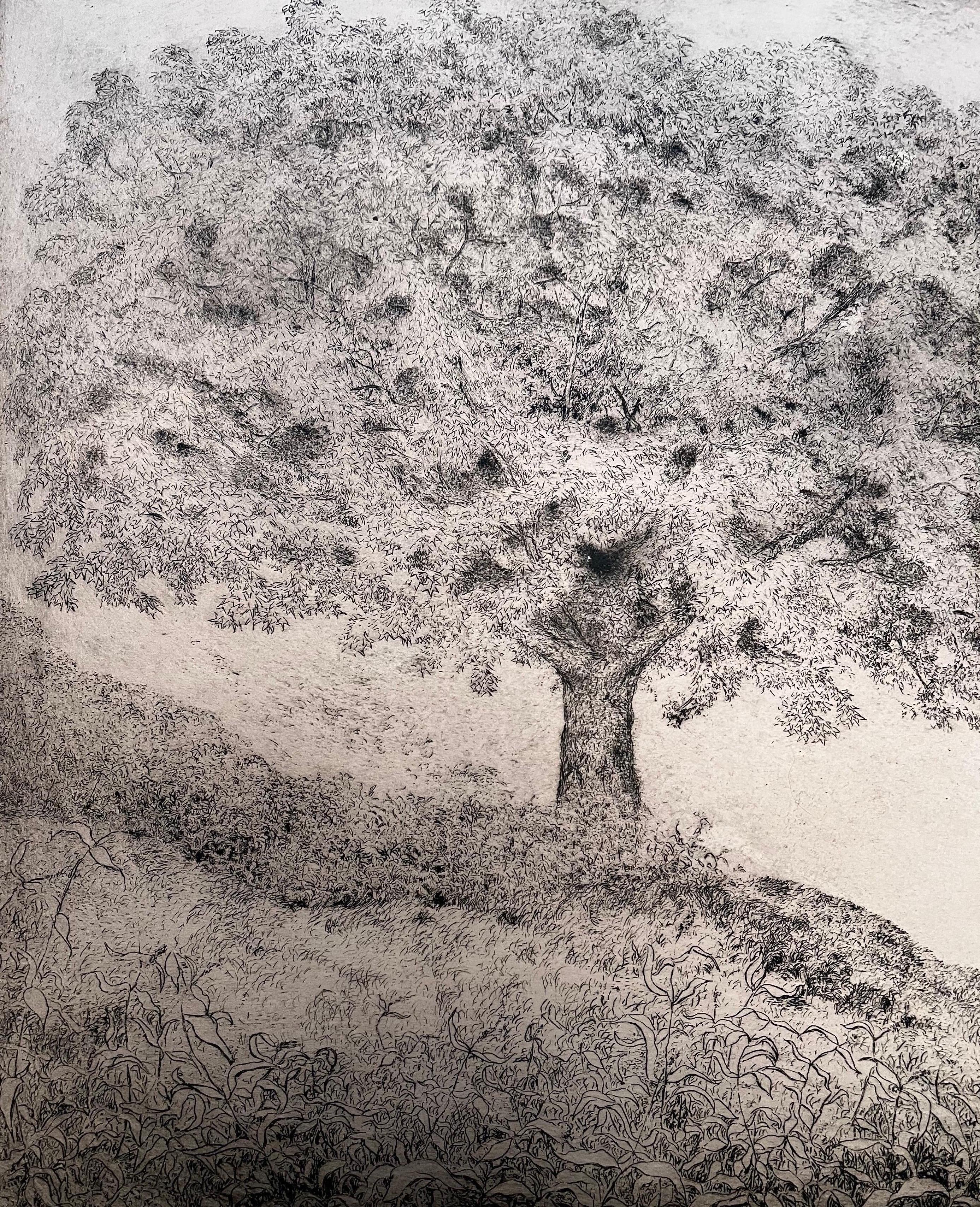 Fin du 20e siècle « Tree of Life », eau-forte de Richard Sloat datée de 1972 en vente